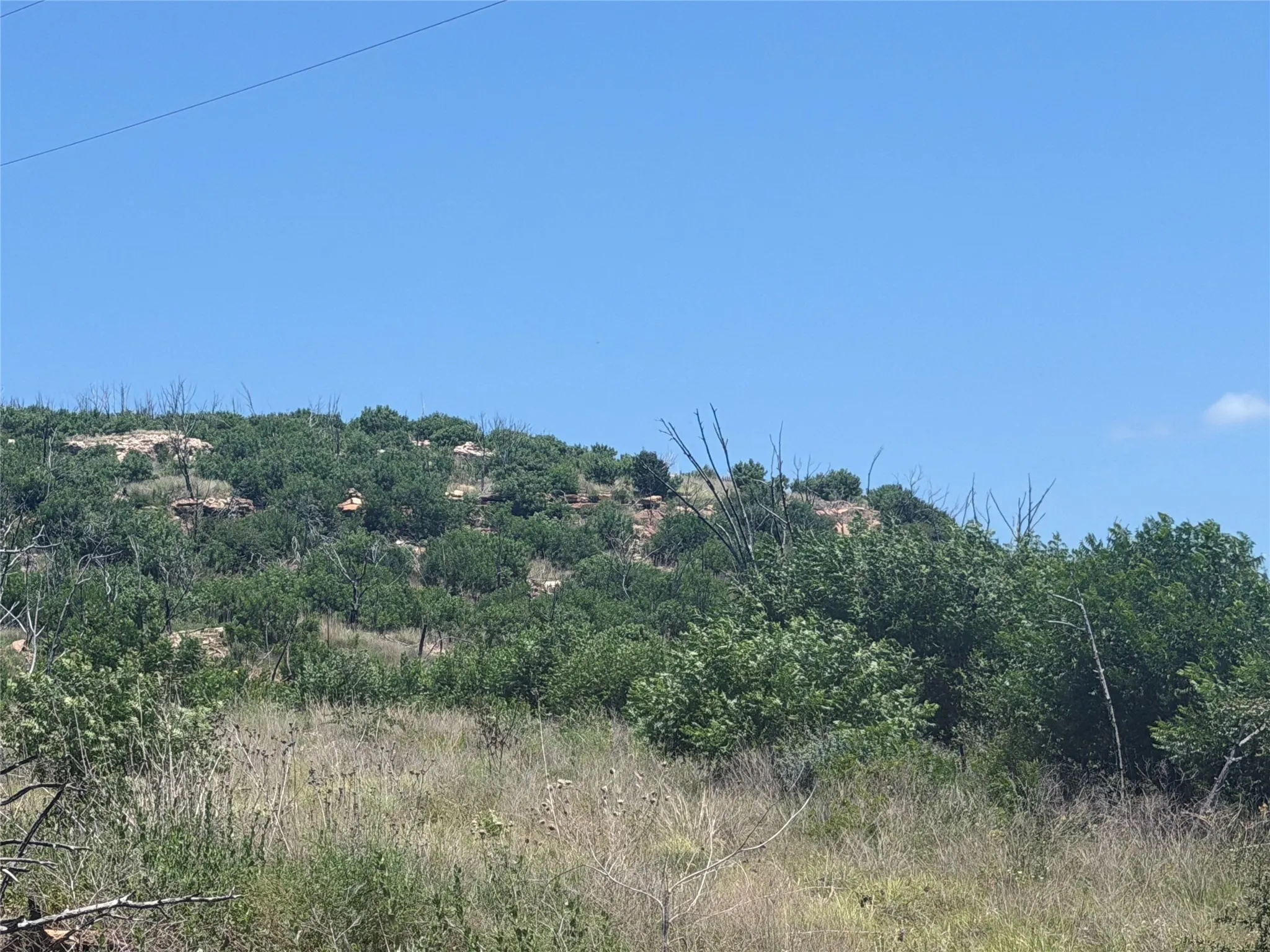 Unimproved Land For Sale in Palo Pinto County , 0 FM 1148, Graham, Texas 76450, 0, 0, Garage spaces, 0 Sqft, built in 0, Price $199,000, mls#21294714, Real Estate Agent in Graham, Homes For Sale in Palo Pinto county, Homes For Sale in Graham, Realtor in Graham Texas, Real Estate Brokerage Independent Realty Texas, Luminita Cordes Realtor