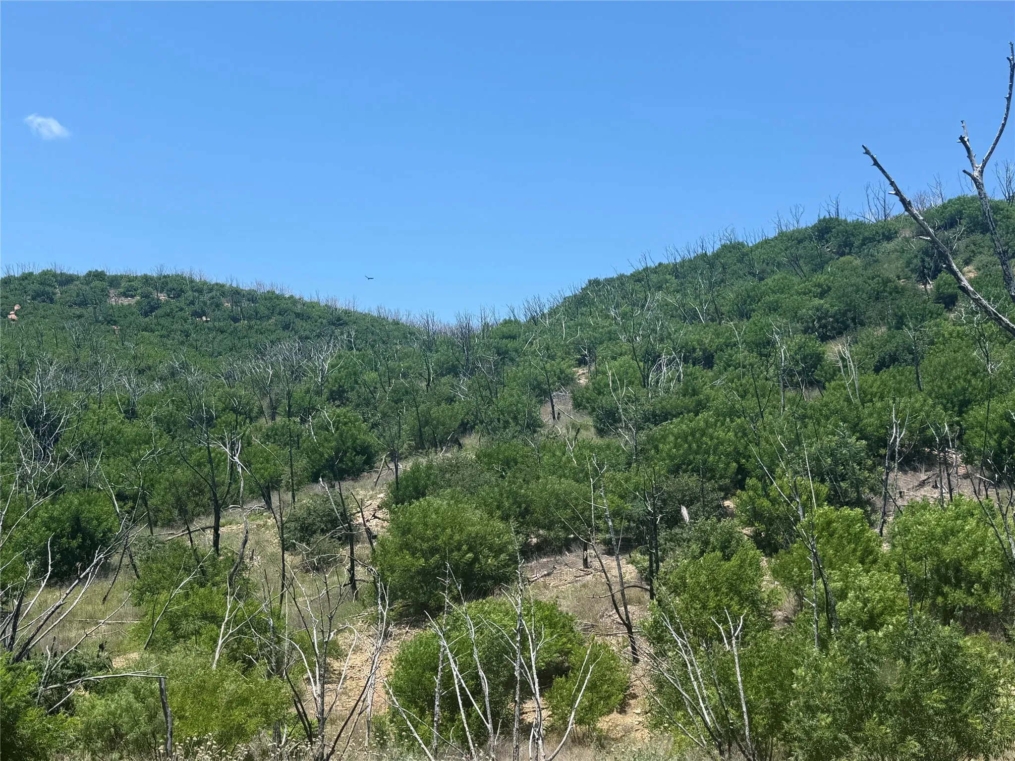 Unimproved Land For Sale in Palo Pinto County , 0 FM 1148, Graham, Texas 76450, 0, 0, Garage spaces, 0 Sqft, built in 0, Price $199,000, mls#21294714, Real Estate Agent in Graham, Homes For Sale in Palo Pinto county, Homes For Sale in Graham, Realtor in Graham Texas, Real Estate Brokerage Independent Realty Texas, Luminita Cordes Realtor