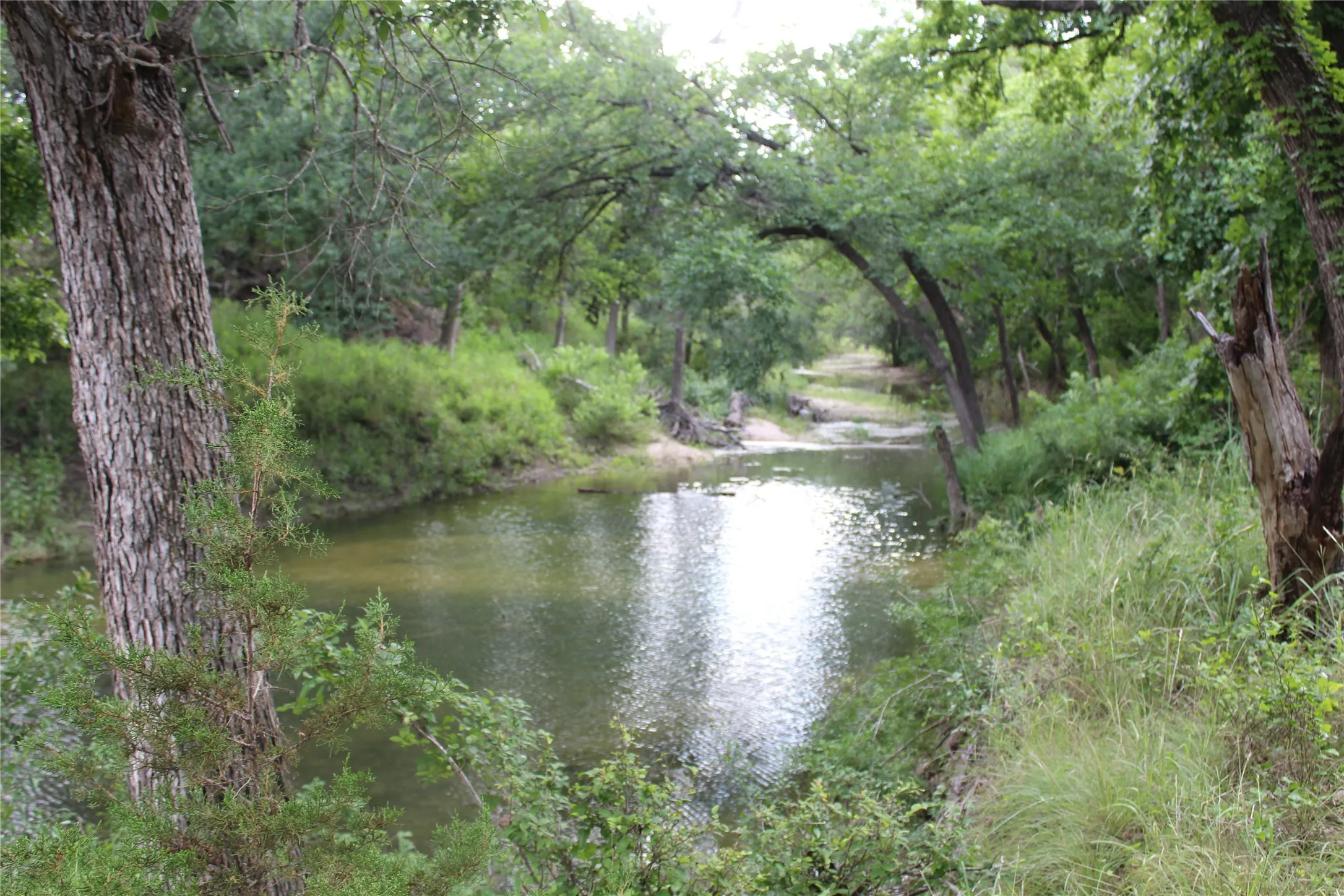 Farm For Sale in Hamilton County , 1690 County Road 530, Evant, Texas 76525, 3 Bedroom, 2 Bathroom, 2 Garage spaces, 1,216 Sqft, built in 1998, mls#21282750, Real Estate Agent in Evant, Homes For Sale in Hamilton county, Homes For Sale in Evant, Realtor in Evant Texas, Real Estate Brokerage Independent Realty Texas, Luminita Cordes Realtor