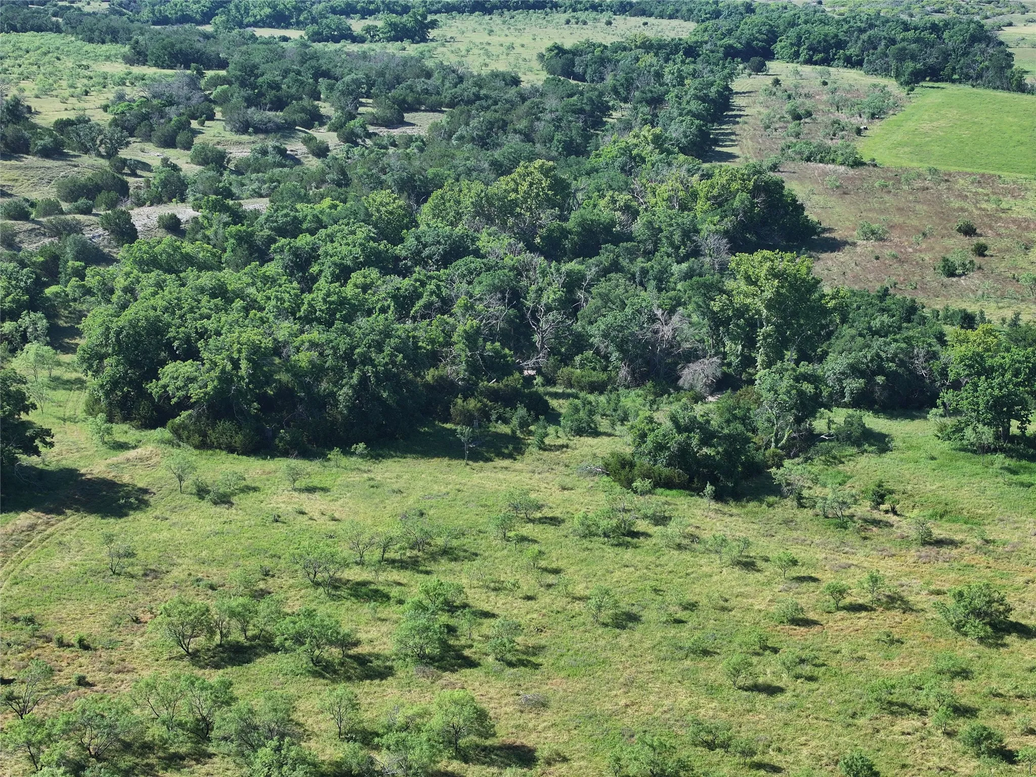 Expansive acreage featuring a natural landscape with mature trees and varied vegetation