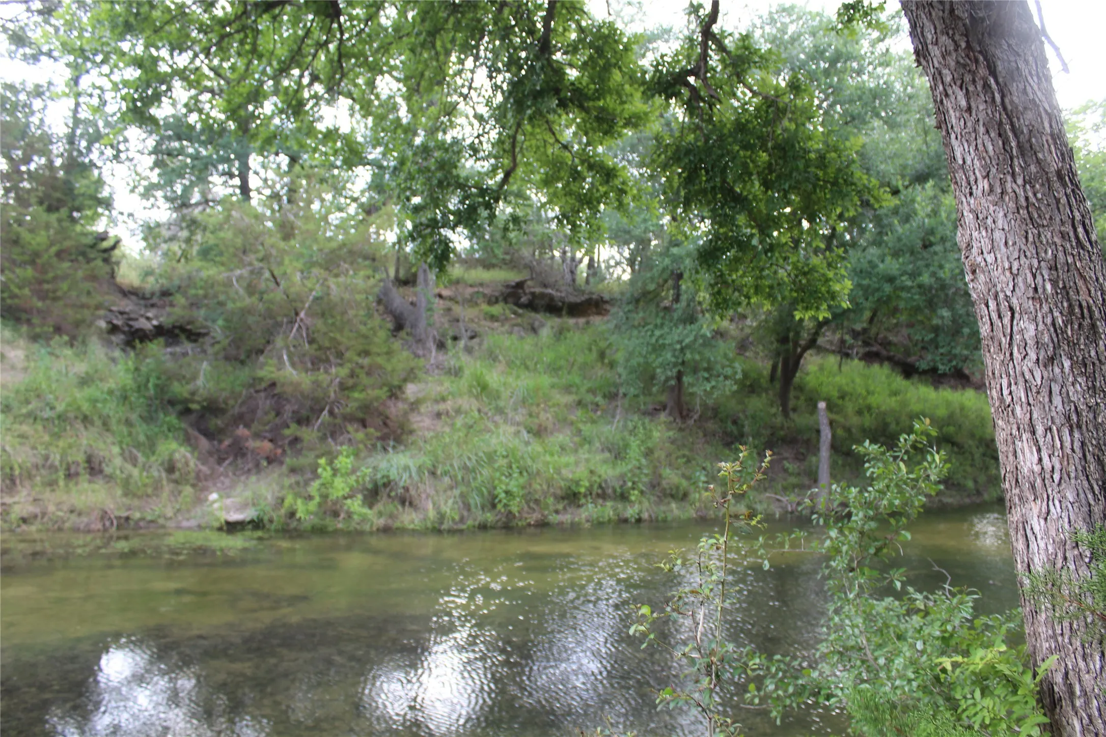 Farm For Sale in Hamilton County , 1690 County Road 530, Evant, Texas 76525, 3 Bedroom, 2 Bathroom, 2 Garage spaces, 1,216 Sqft, built in 1998, mls#21282750, Real Estate Agent in Evant, Homes For Sale in Hamilton county, Homes For Sale in Evant, Realtor in Evant Texas, Real Estate Brokerage Independent Realty Texas, Luminita Cordes Realtor