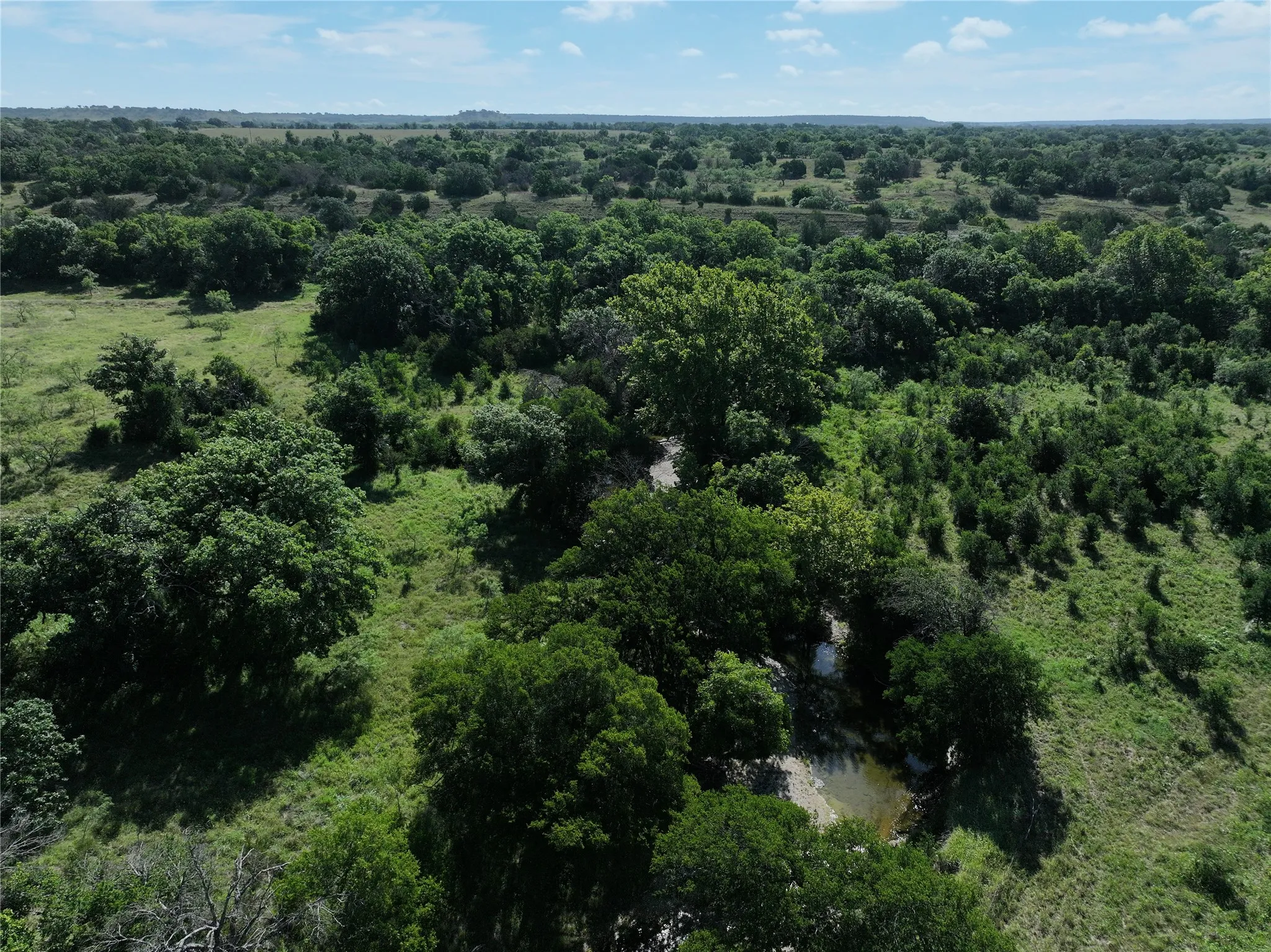 Expansive acreage featuring abundant mature trees, varied topography, and a natural water feature