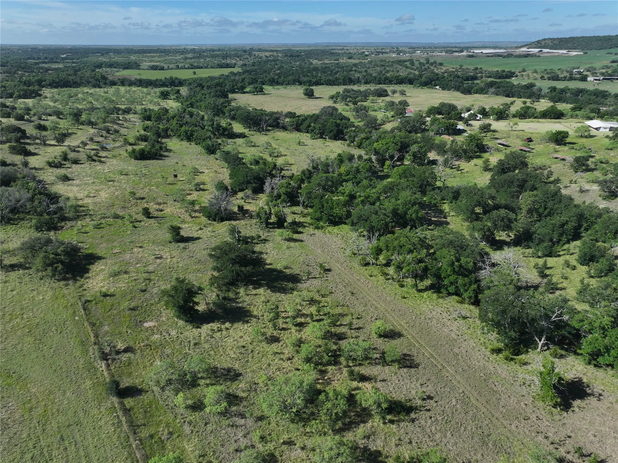 Expansive rural landscape featuring a mix of open grassy areas and mature tree clusters