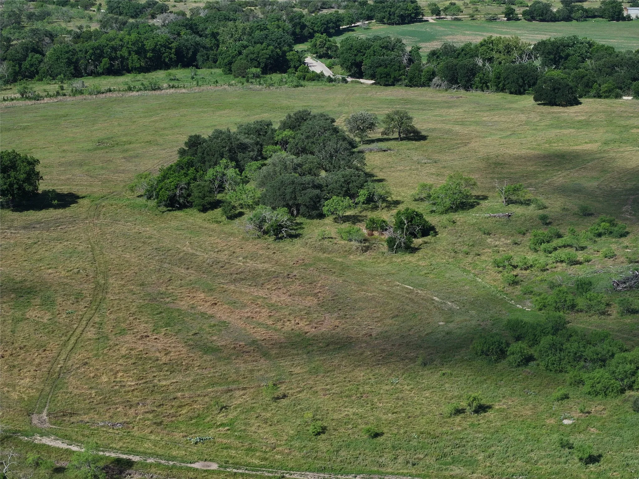 Expansive green pastureland featuring clusters of mature trees and varied terrain