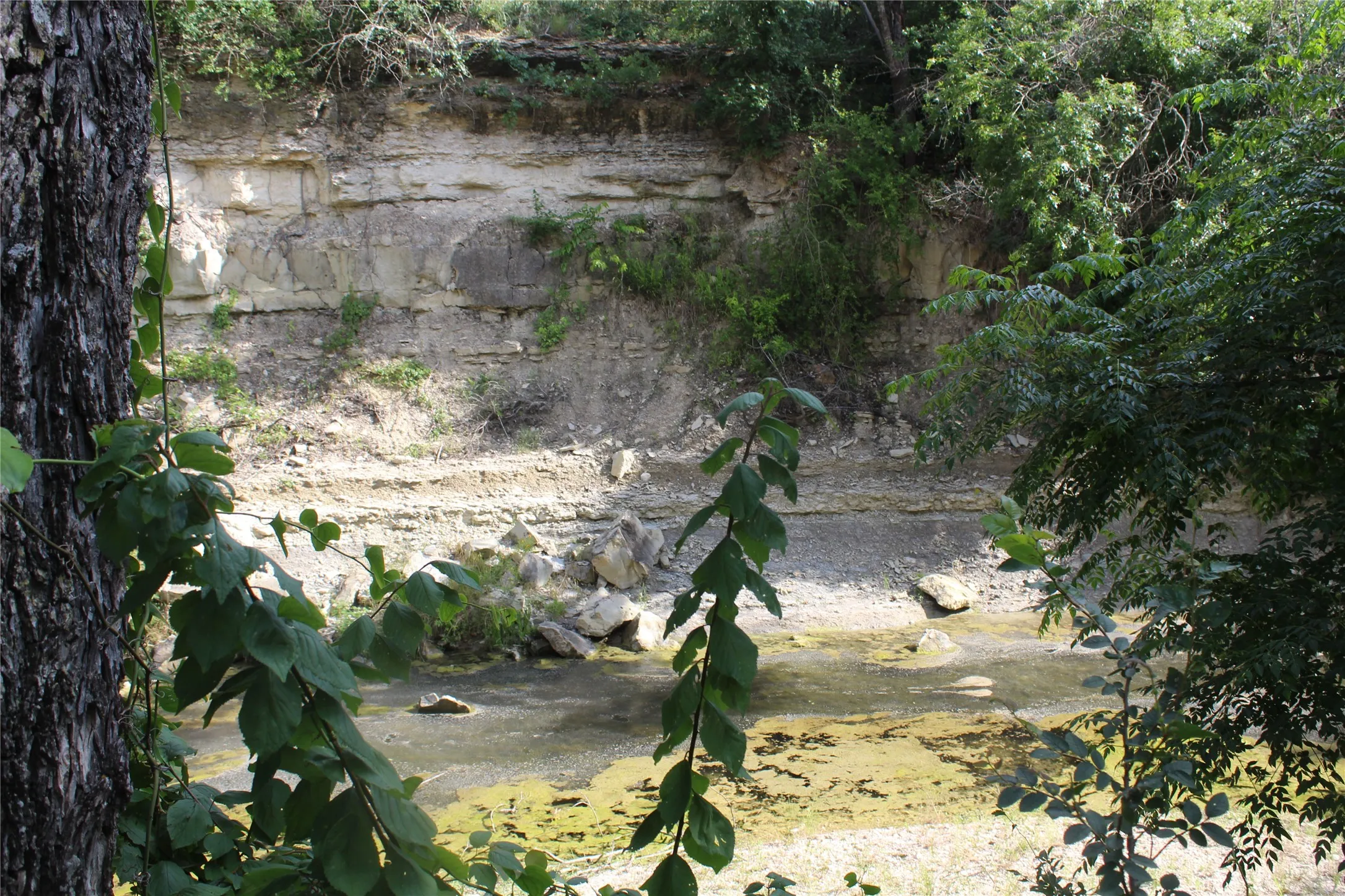 Farm For Sale in Hamilton County , 1690 County Road 530, Evant, Texas 76525, 3 Bedroom, 2 Bathroom, 2 Garage spaces, 1,216 Sqft, built in 1998, mls#21282750, Real Estate Agent in Evant, Homes For Sale in Hamilton county, Homes For Sale in Evant, Realtor in Evant Texas, Real Estate Brokerage Independent Realty Texas, Luminita Cordes Realtor