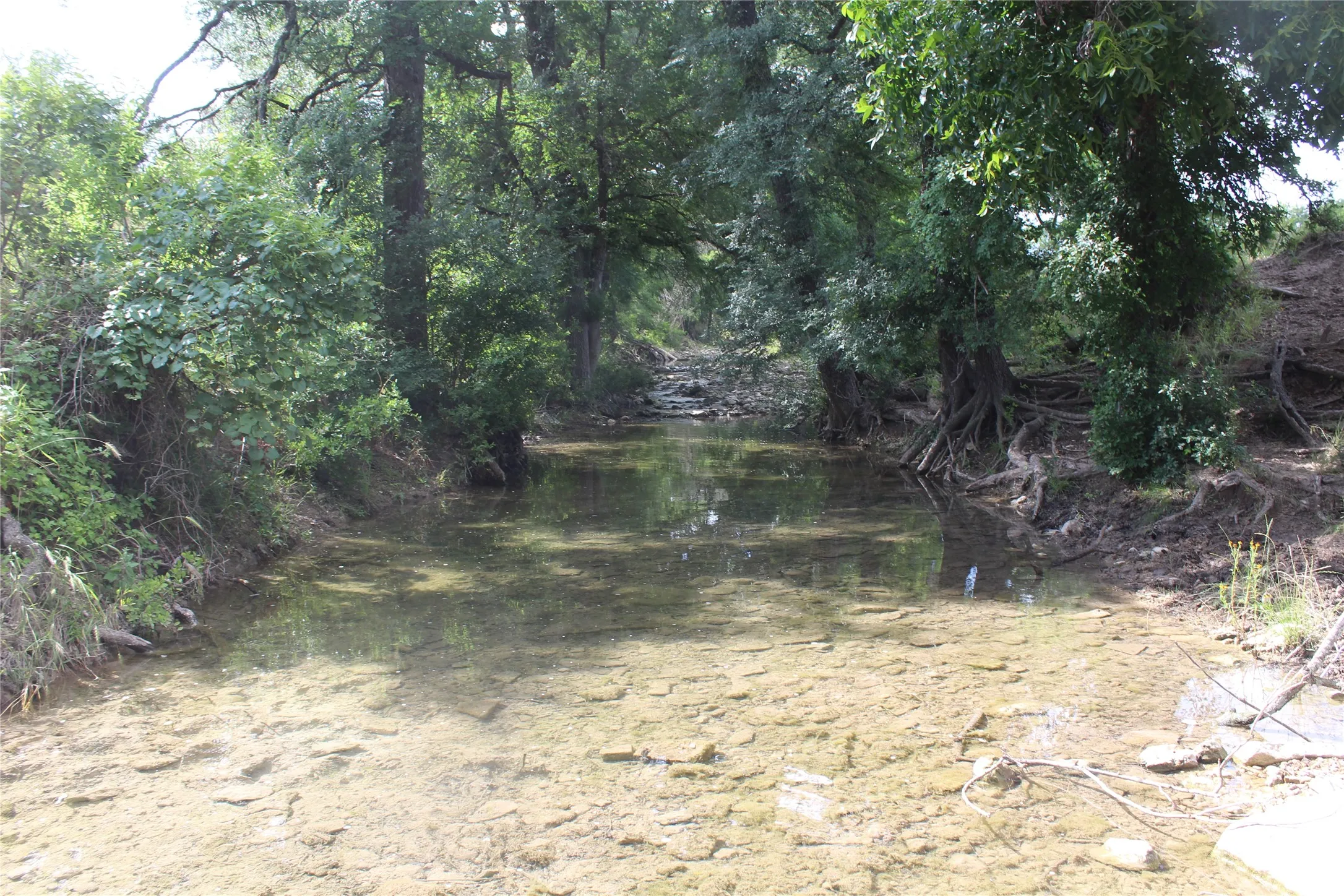 Natural water feature with clear, shallow water and a stone bottom