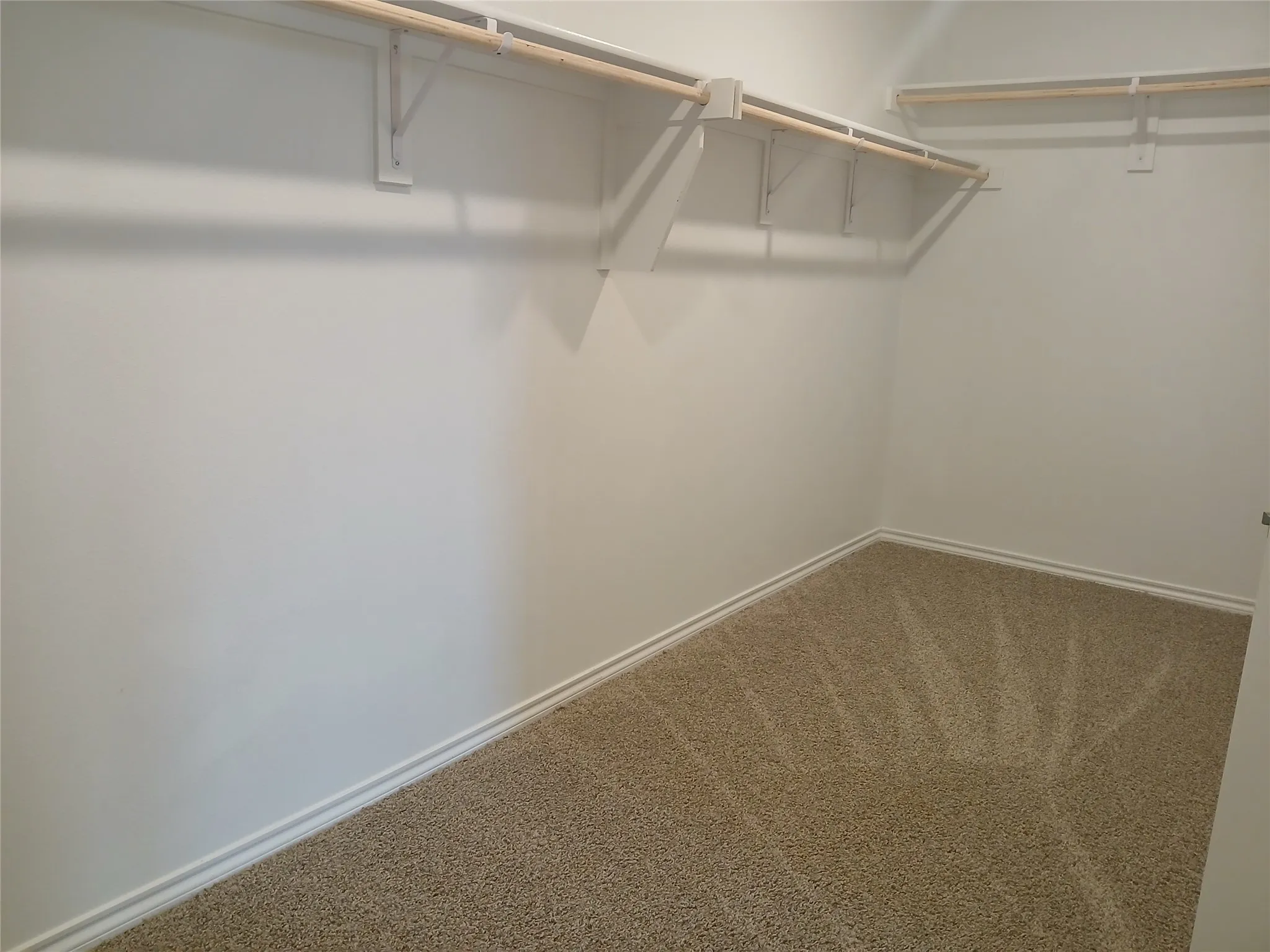 Walk-in closet featuring light-toned carpeting, white baseboards, and built-in shelving with hanging rods