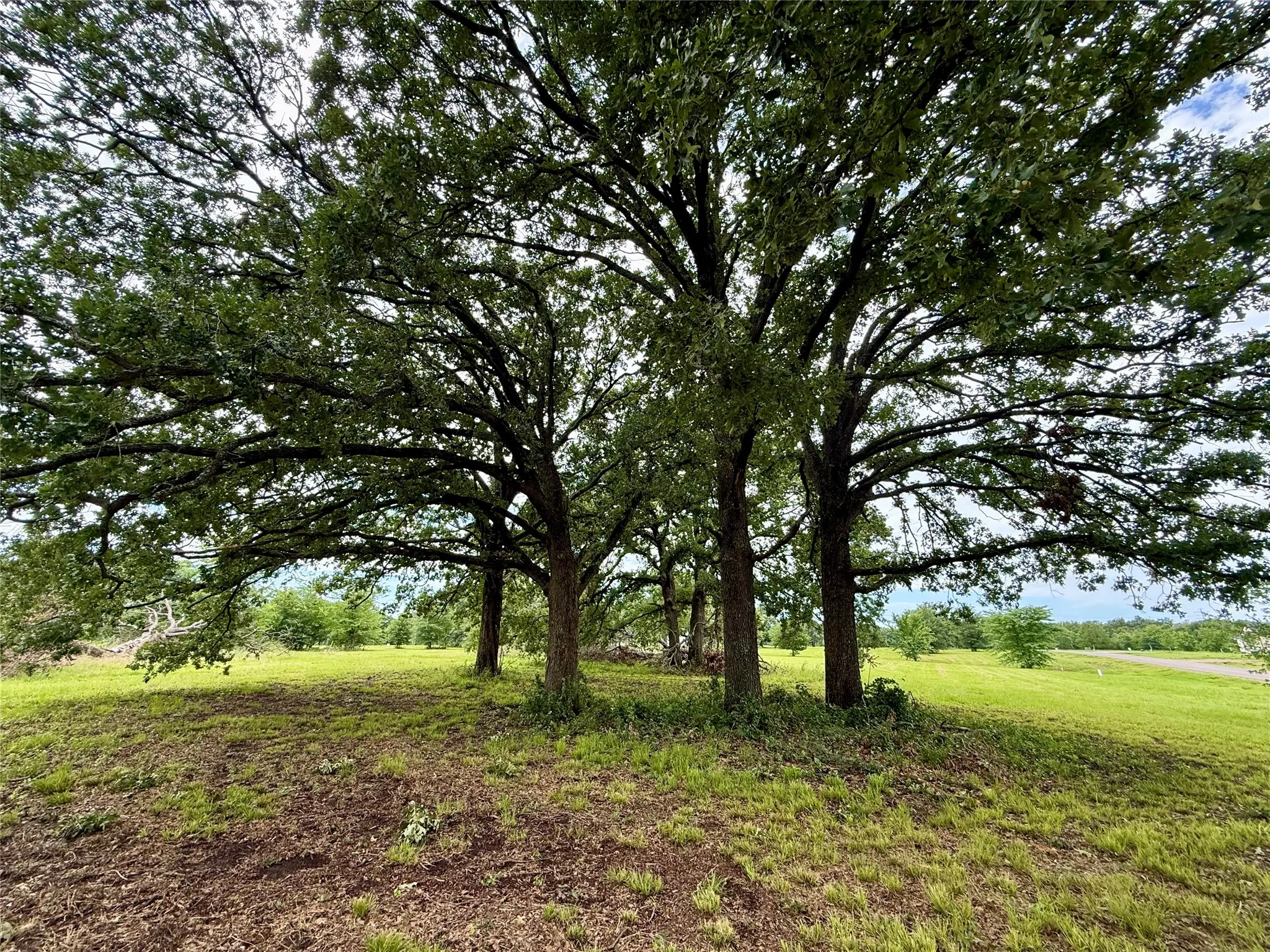 Unimproved Land For Sale in Fannin County , 430 Shoreline Drive, Dodd City, Texas 75438, 0, 0, Garage spaces, 0 Sqft, built in 0, Price $249,999, mls#21300639, Real Estate Agent in Dodd City, Homes For Sale in Fannin county, Homes For Sale in Dodd City, Realtor in Dodd City Texas, Real Estate Brokerage Independent Realty Texas, Luminita Cordes Realtor