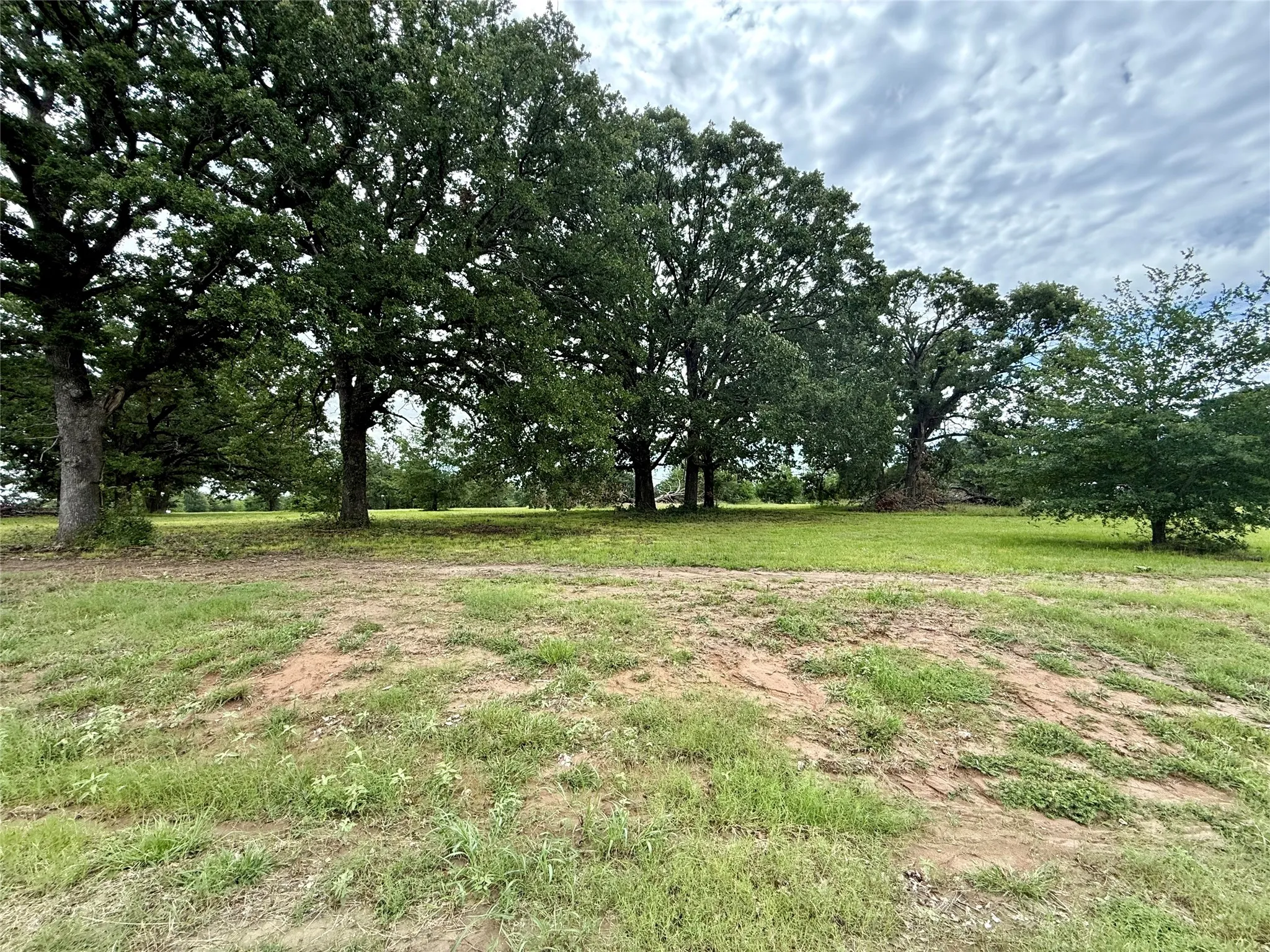 Unimproved Land For Sale in Fannin County , 430 Shoreline Drive, Dodd City, Texas 75438, 0, 0, Garage spaces, 0 Sqft, built in 0, Price $249,999, mls#21300639, Real Estate Agent in Dodd City, Homes For Sale in Fannin county, Homes For Sale in Dodd City, Realtor in Dodd City Texas, Real Estate Brokerage Independent Realty Texas, Luminita Cordes Realtor