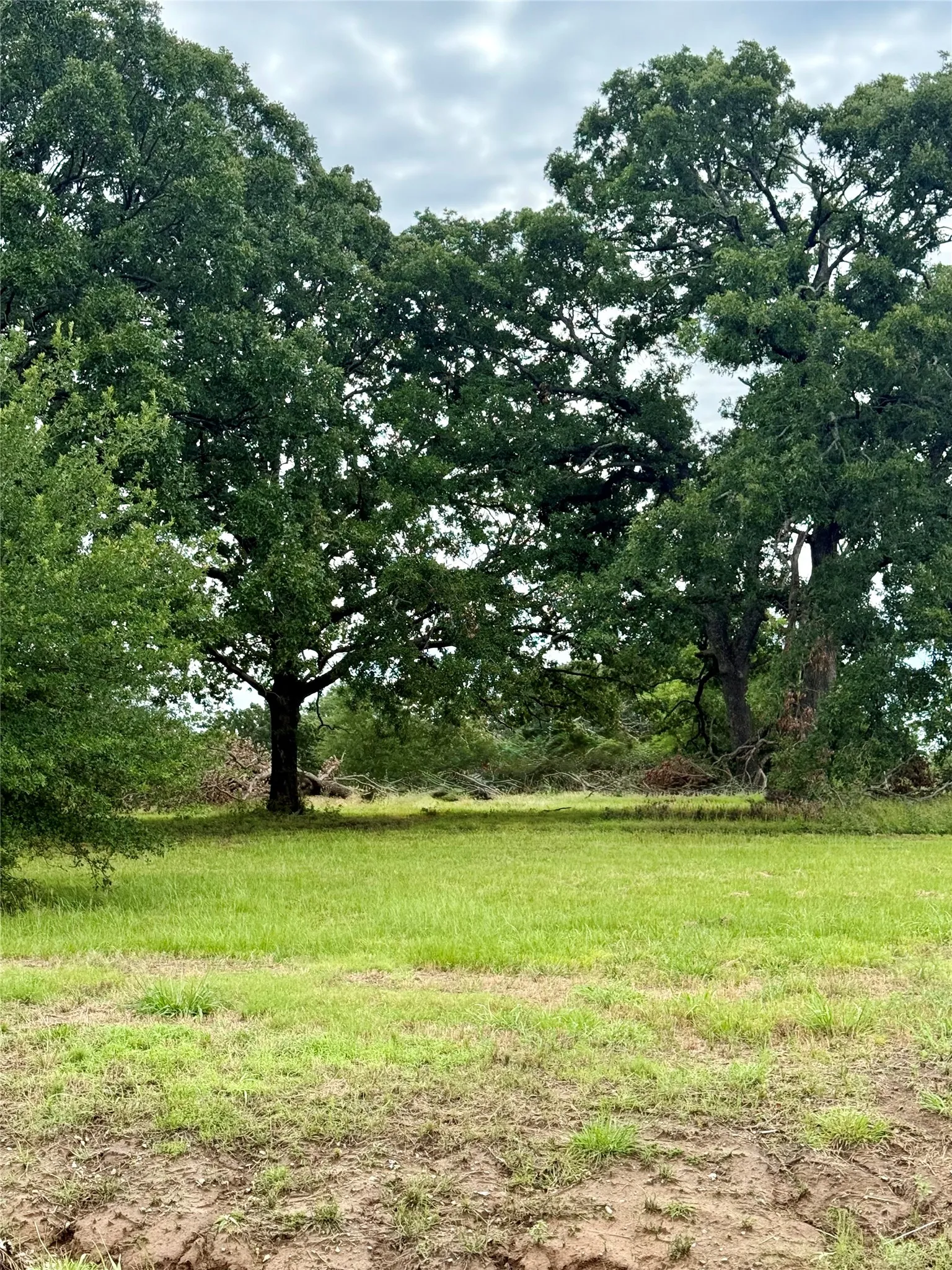 Unimproved Land For Sale in Fannin County , 430 Shoreline Drive, Dodd City, Texas 75438, 0, 0, Garage spaces, 0 Sqft, built in 0, Price $249,999, mls#21300639, Real Estate Agent in Dodd City, Homes For Sale in Fannin county, Homes For Sale in Dodd City, Realtor in Dodd City Texas, Real Estate Brokerage Independent Realty Texas, Luminita Cordes Realtor