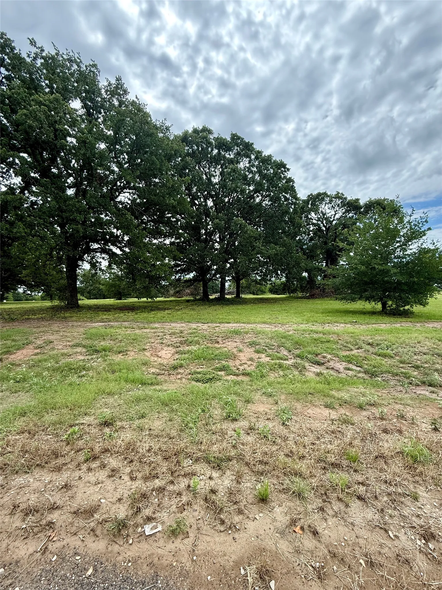 Unimproved Land For Sale in Fannin County , 430 Shoreline Drive, Dodd City, Texas 75438, 0, 0, Garage spaces, 0 Sqft, built in 0, Price $249,999, mls#21300639, Real Estate Agent in Dodd City, Homes For Sale in Fannin county, Homes For Sale in Dodd City, Realtor in Dodd City Texas, Real Estate Brokerage Independent Realty Texas, Luminita Cordes Realtor