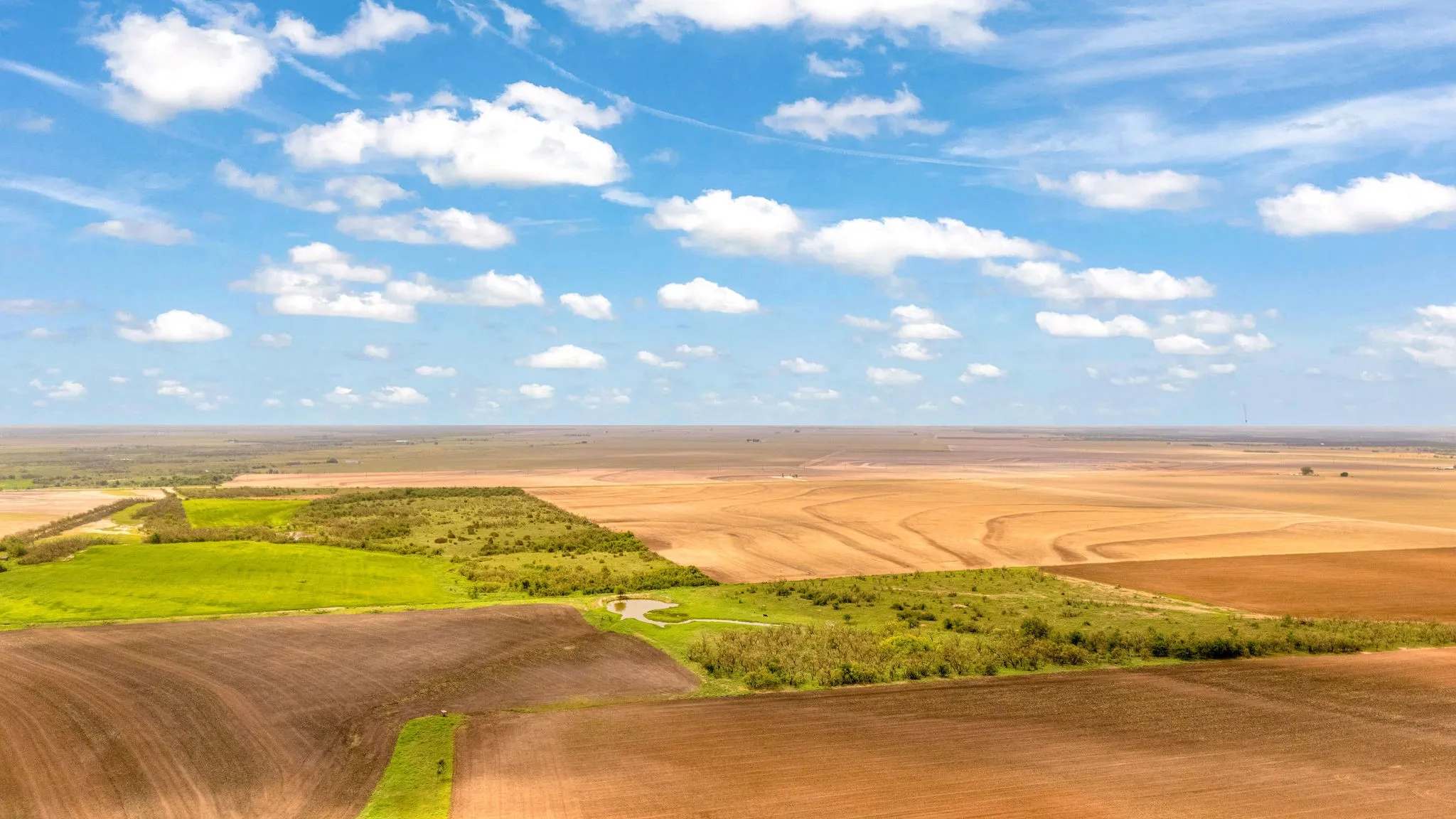 Improved Land For Sale in Runnels County , TBD FM 384, Winters, Texas 79567, 0, 0, Garage spaces, 0 Sqft, built in 0, mls#21298470, Real Estate Agent in Winters, Homes For Sale in Runnels county, Homes For Sale in Winters, Realtor in Winters Texas, Real Estate Brokerage Independent Realty Texas, Luminita Cordes Realtor