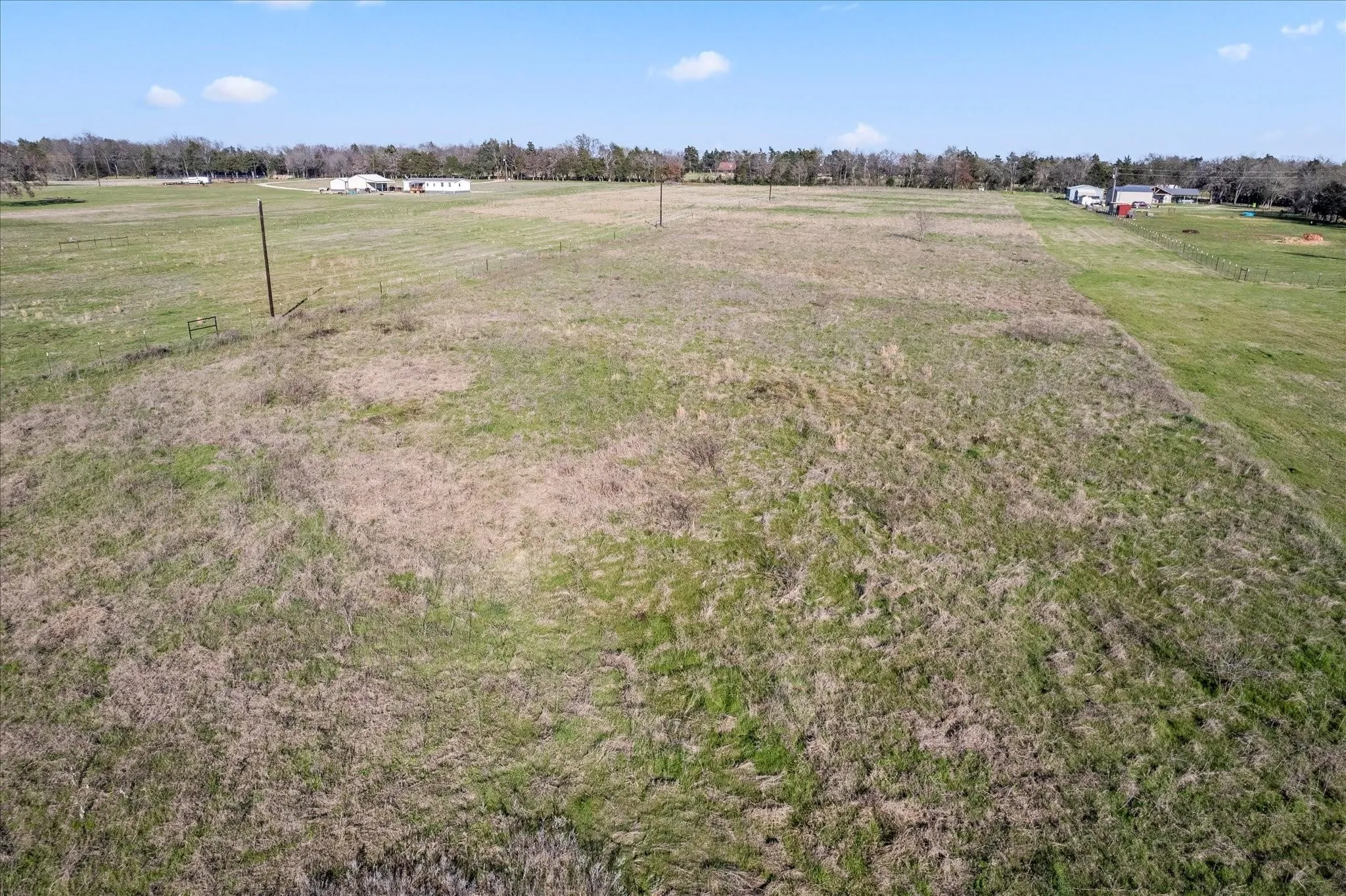 Expansive open field with natural ground cover