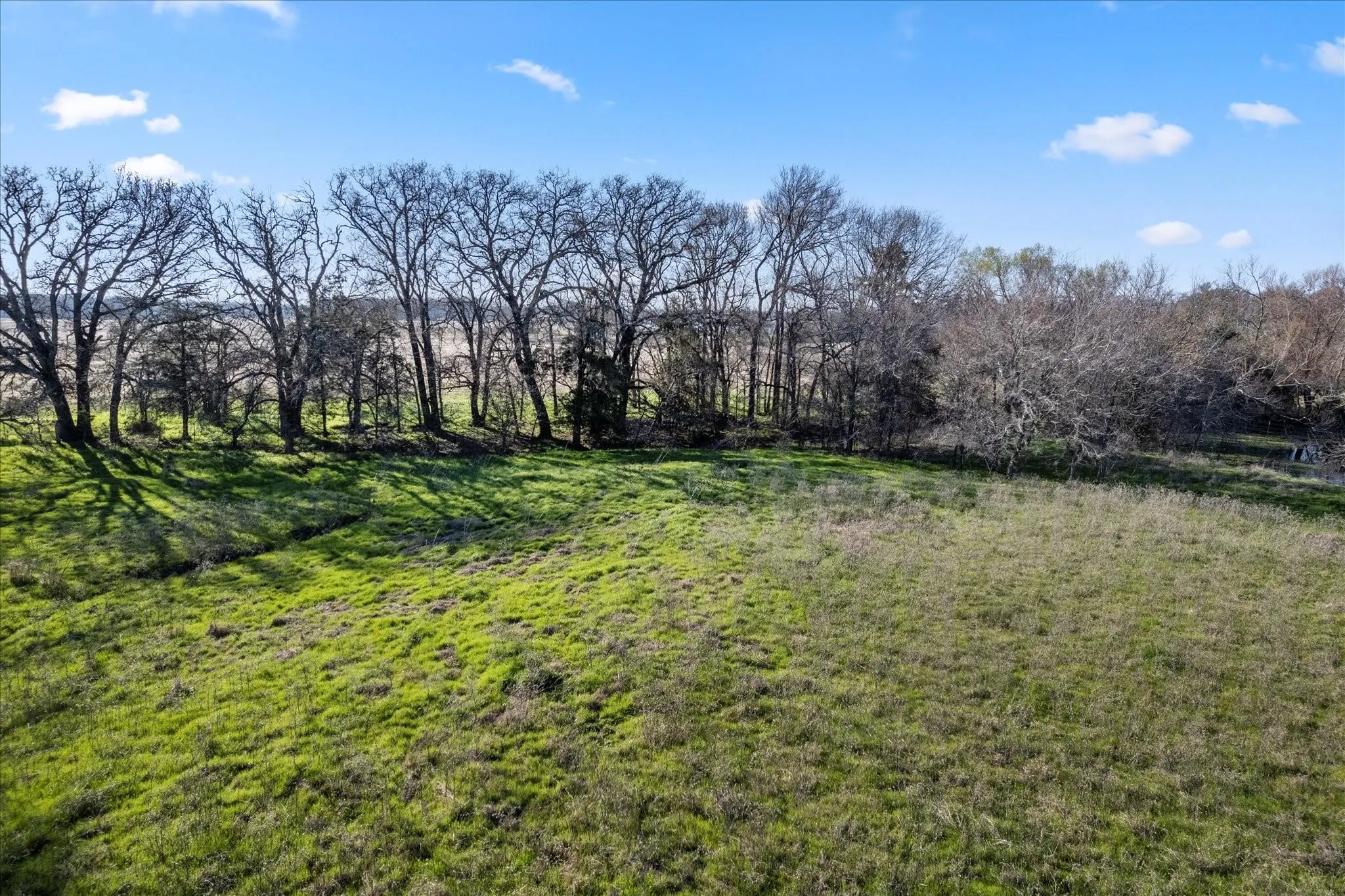 Expansive open land featuring a mix of vibrant green grass and natural foliage
