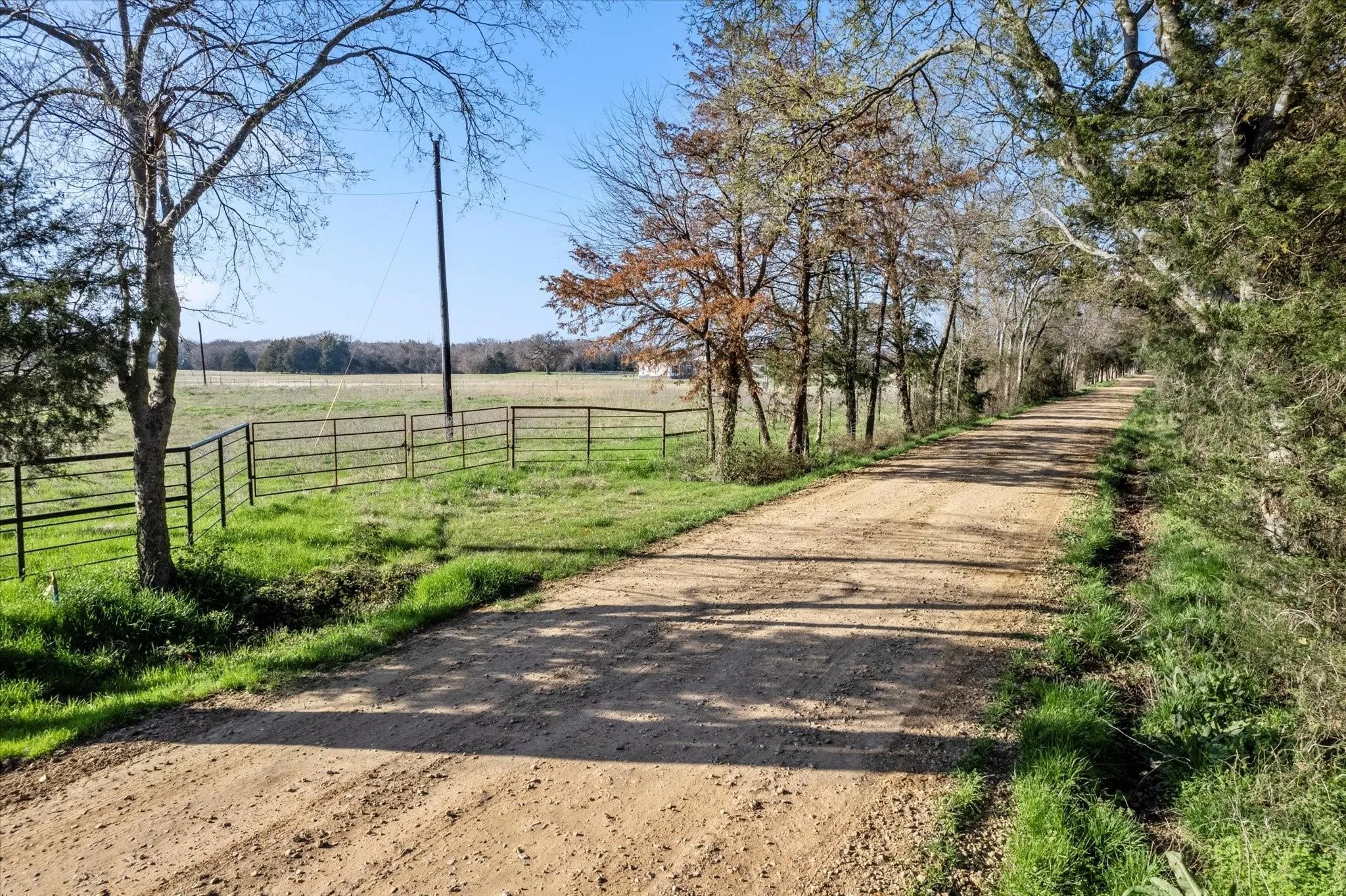Expansive gravel drive bordered by mature trees and natural landscaping