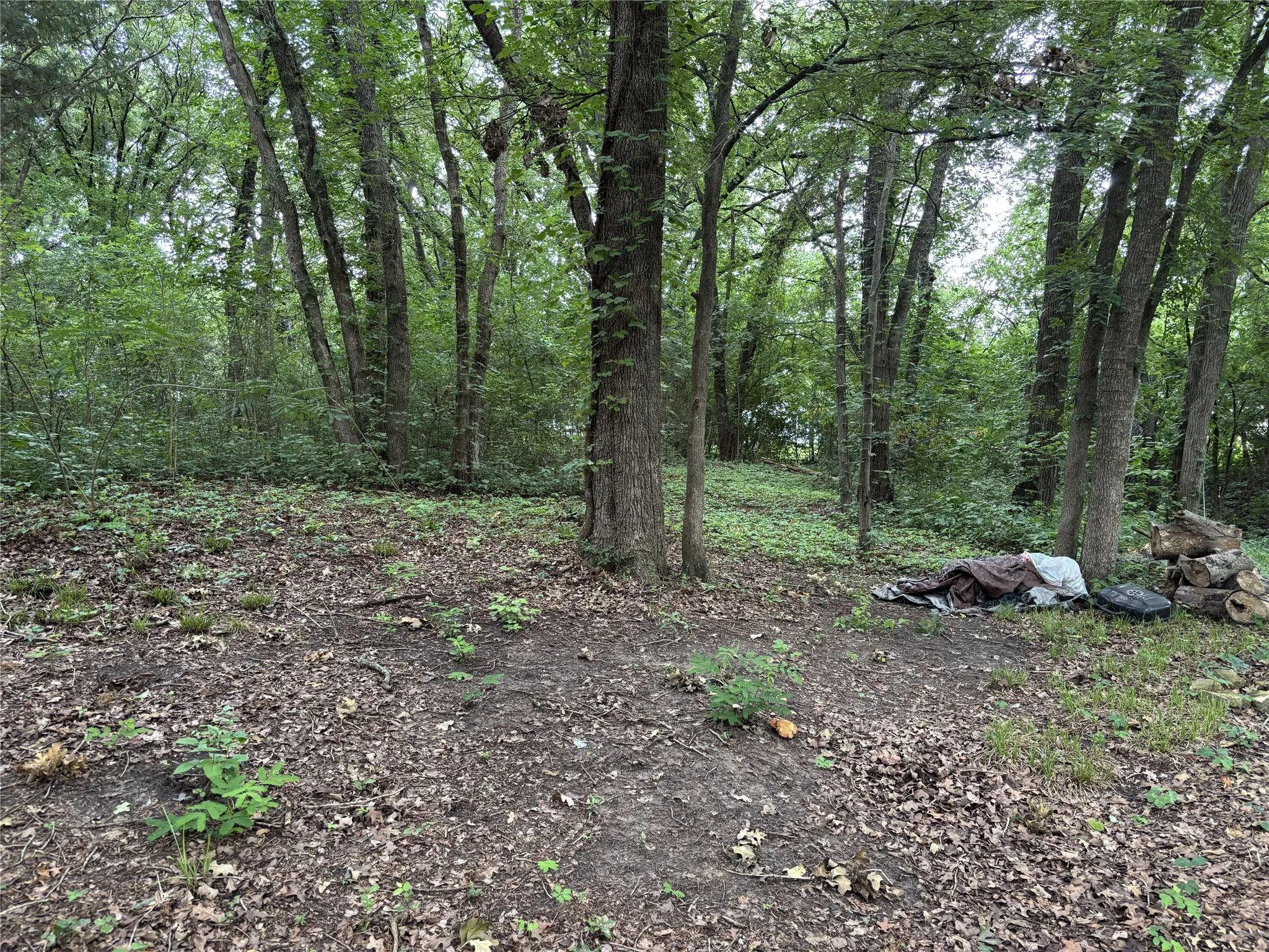 Lease Back Land Down to Water