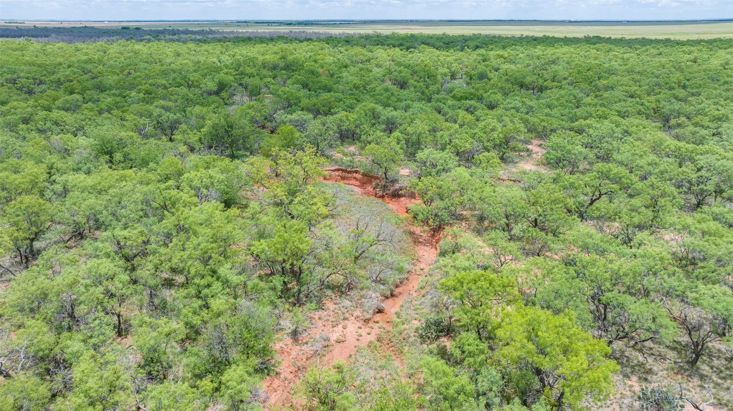 Extensive green canopy of trees over a rugged red-earth landscape