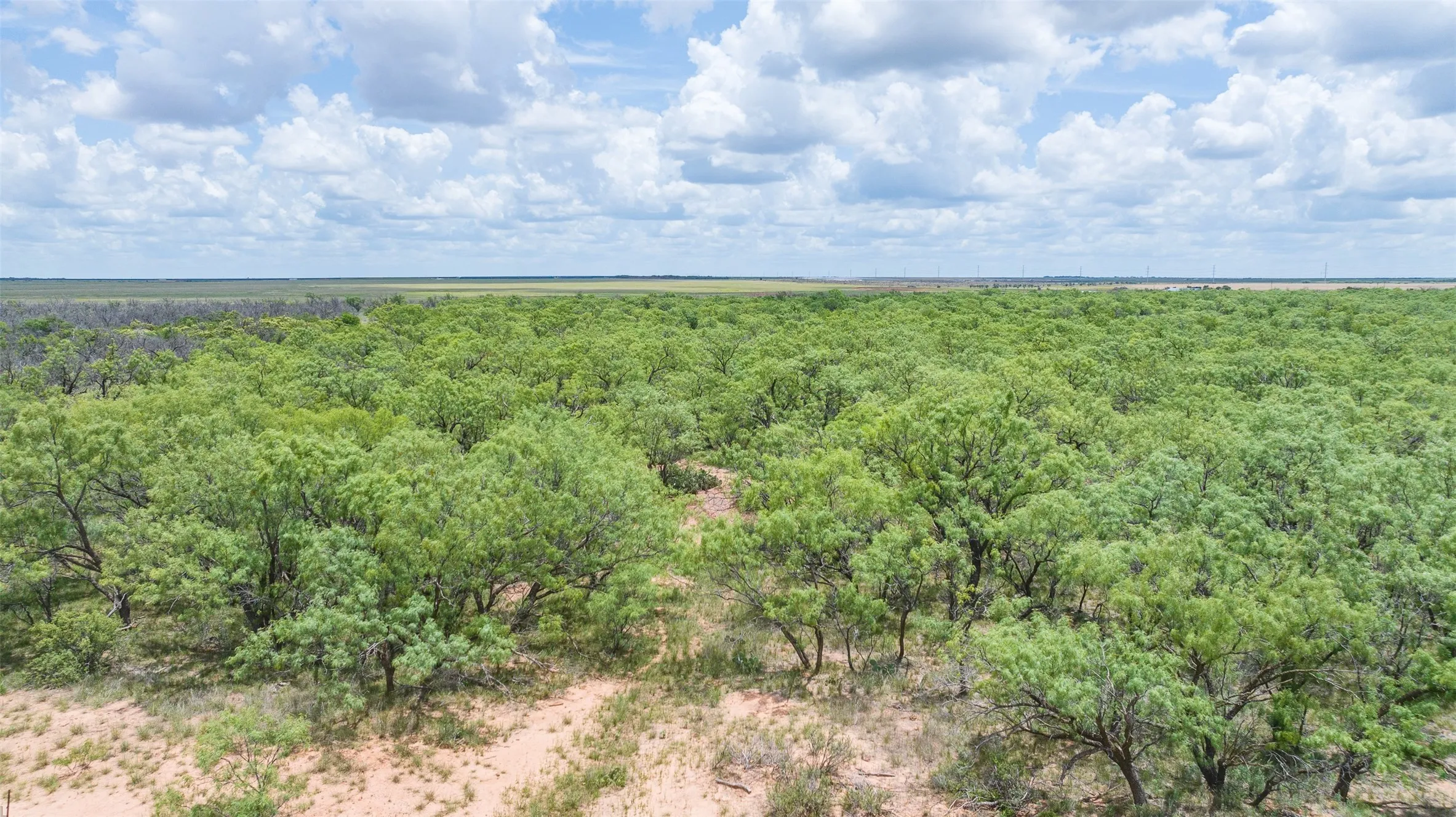 Unimproved Land For Sale in Jones County , TBD CR 260, Anson, Texas 79501, 0, 0, Garage spaces, 0 Sqft, built in 0, mls#21298457, Real Estate Agent in Anson, Homes For Sale in Jones county, Homes For Sale in Anson, Realtor in Anson Texas, Real Estate Brokerage Independent Realty Texas, Luminita Cordes Realtor