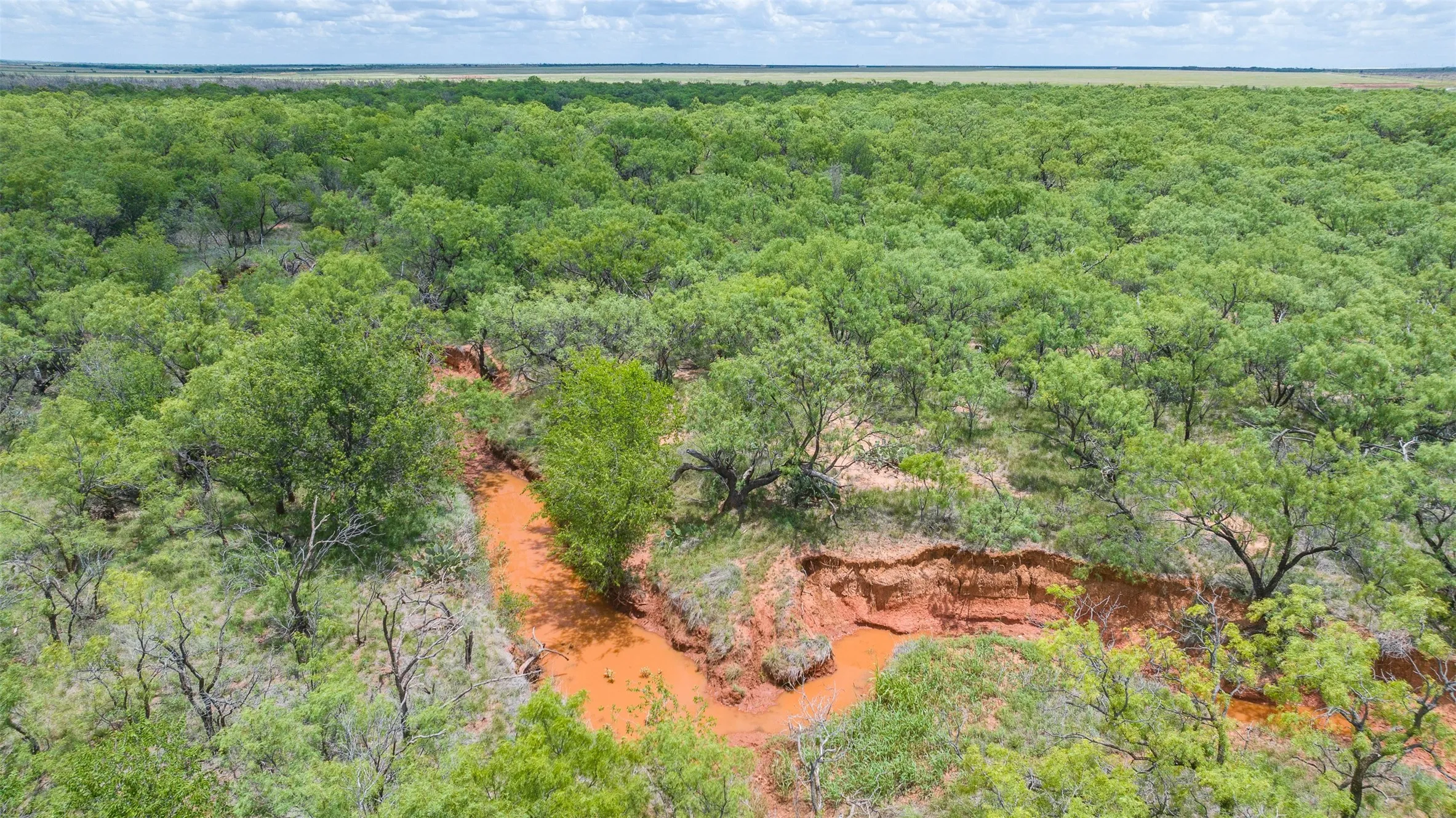 Expansive treed landscape featuring a winding orange-hued waterway