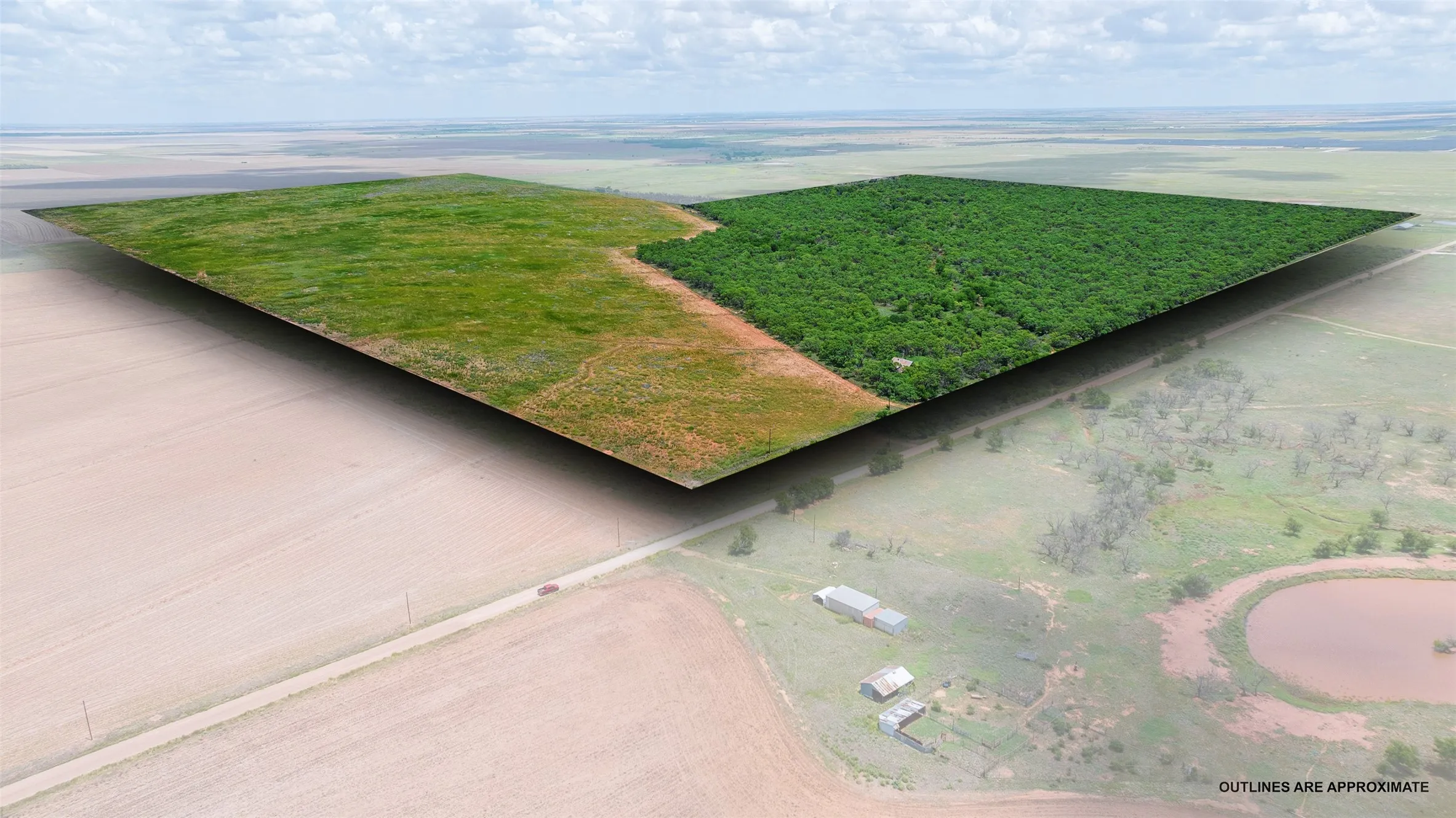 Expansive land parcel featuring open grasslands, a dense treeline, and direct frontage on an unpaved road
