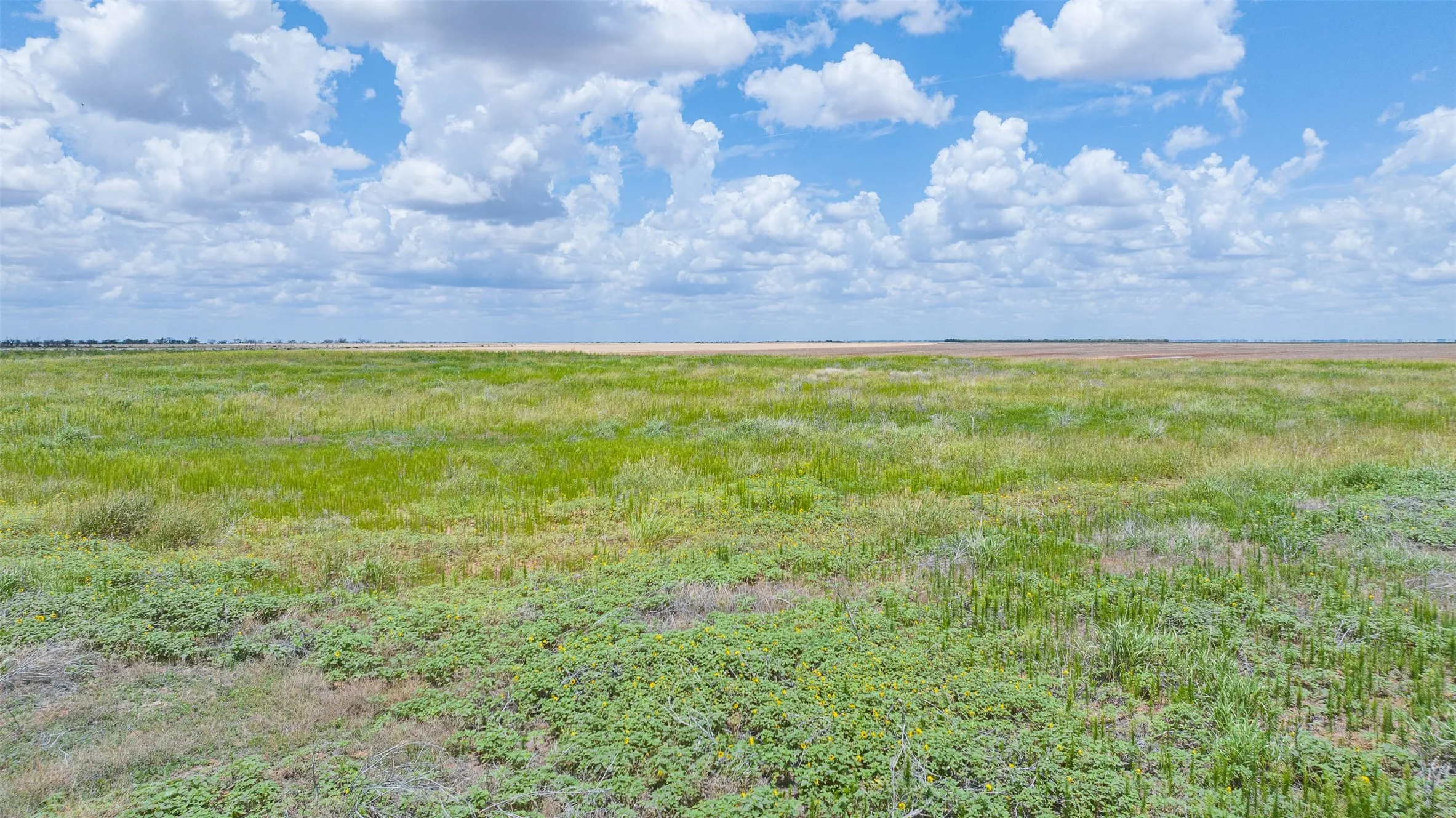 Unimproved Land For Sale in Jones County , TBD CR 260, Anson, Texas 79501, 0, 0, Garage spaces, 0 Sqft, built in 0, mls#21298457, Real Estate Agent in Anson, Homes For Sale in Jones county, Homes For Sale in Anson, Realtor in Anson Texas, Real Estate Brokerage Independent Realty Texas, Luminita Cordes Realtor
