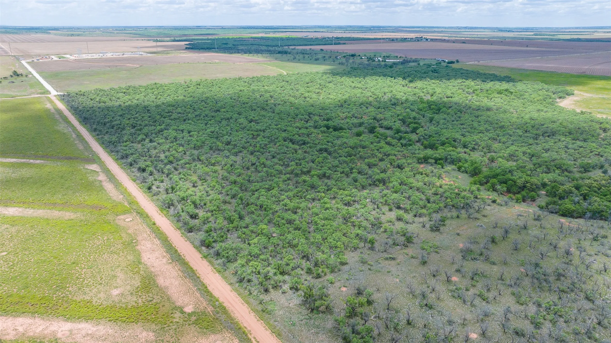 Expansive acreage featuring a substantial wooded area, adjacent open fields, and a visible unpaved road