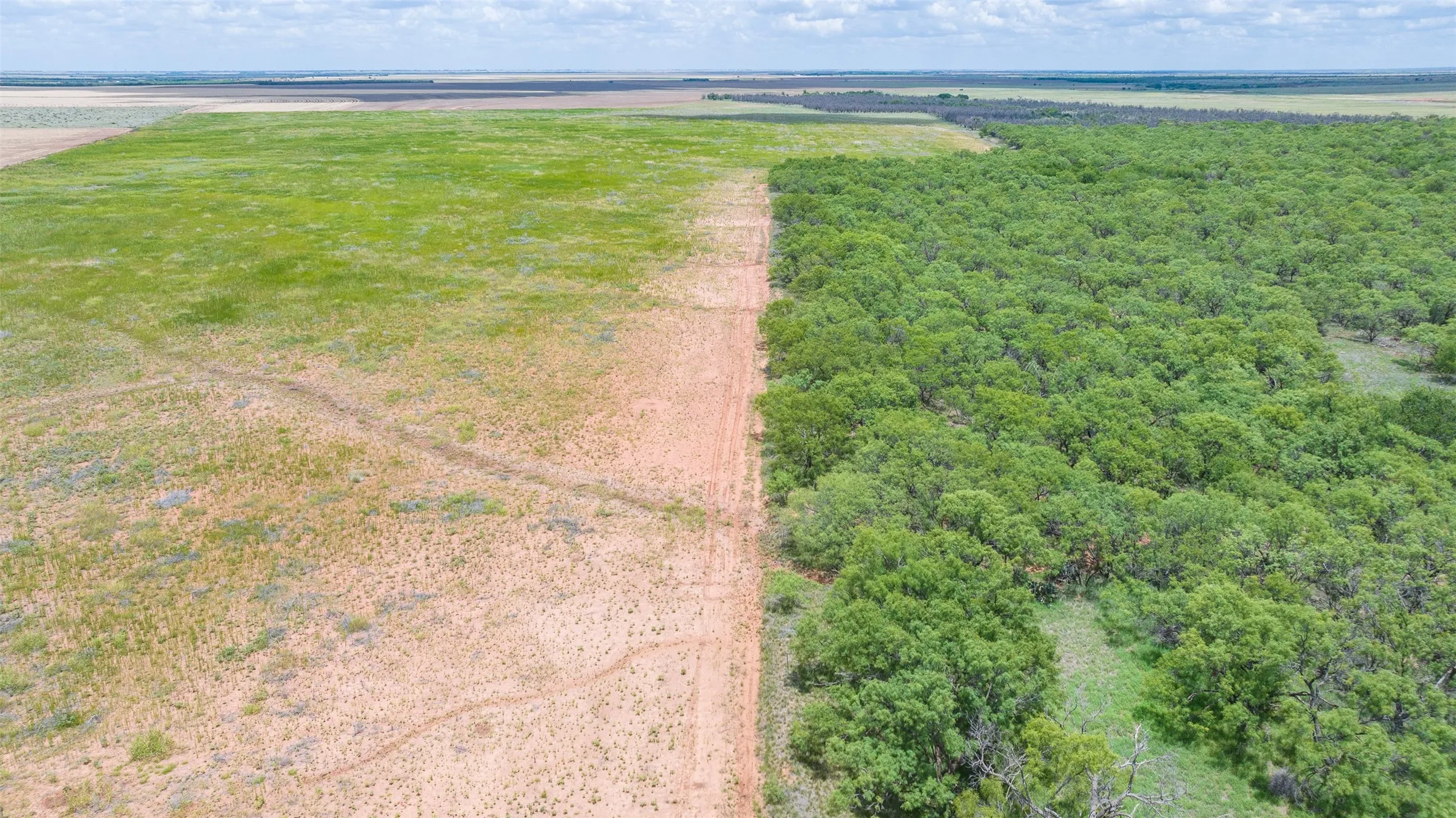 Expansive land parcel featuring a clear boundary between wooded acreage and open fields