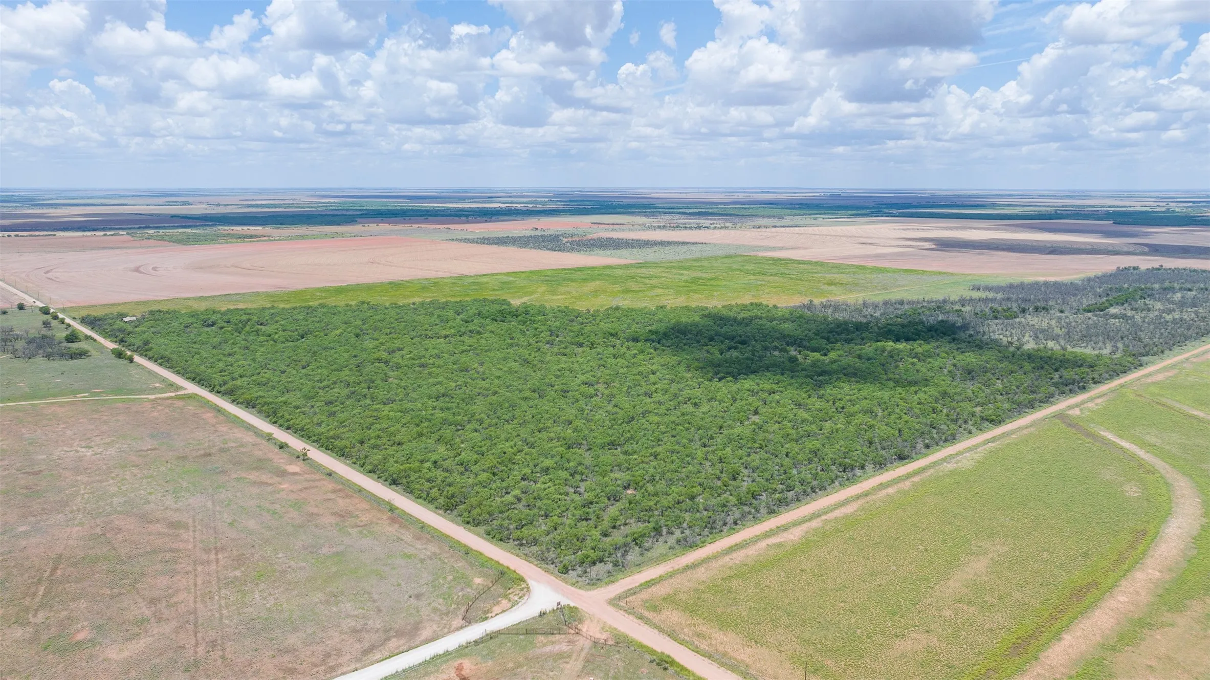 Expansive land parcel featuring a large wooded area, surrounding agricultural fields, and an unpaved road network