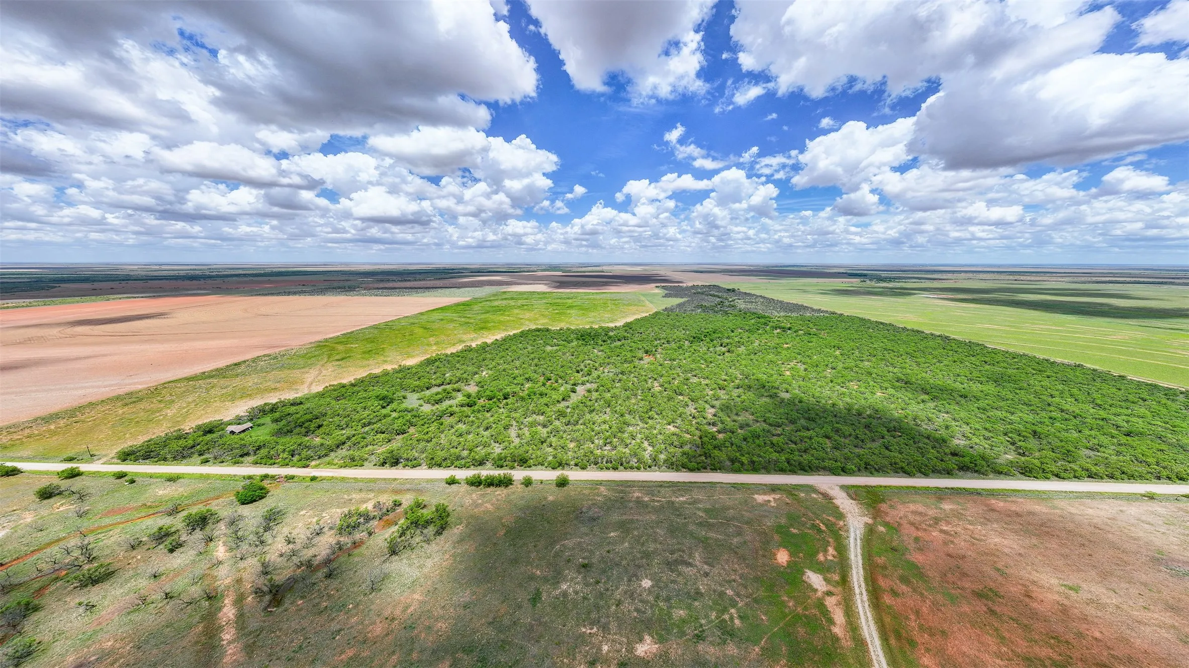 Expansive acreage featuring a substantial wooded area, a partial unpaved road, and surrounding cultivated fields
