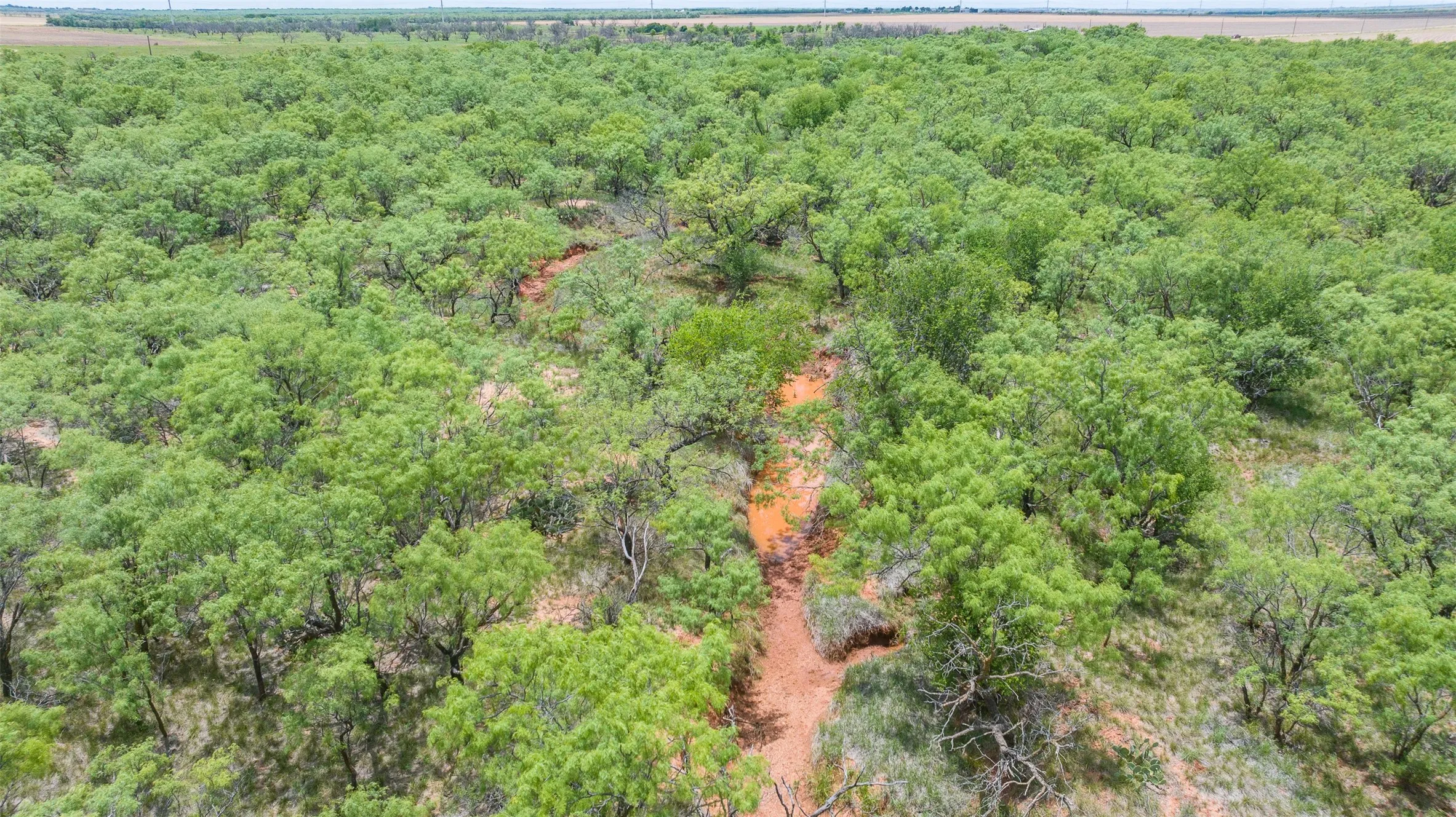 Expansive acreage featuring dense tree coverage and natural terrain with a winding dry creek bed