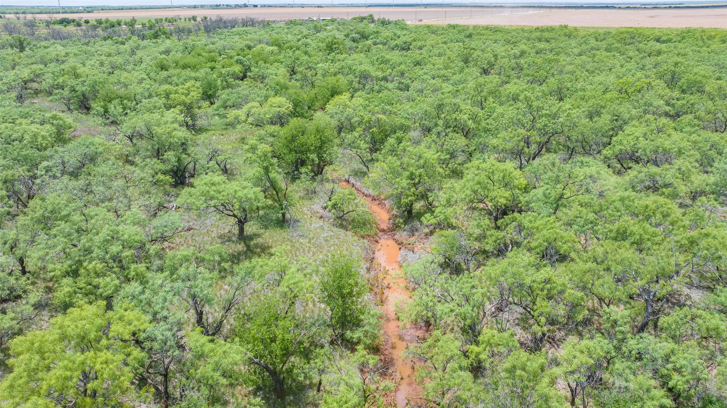 Expansive land parcel featuring dense green tree coverage and a visible natural path