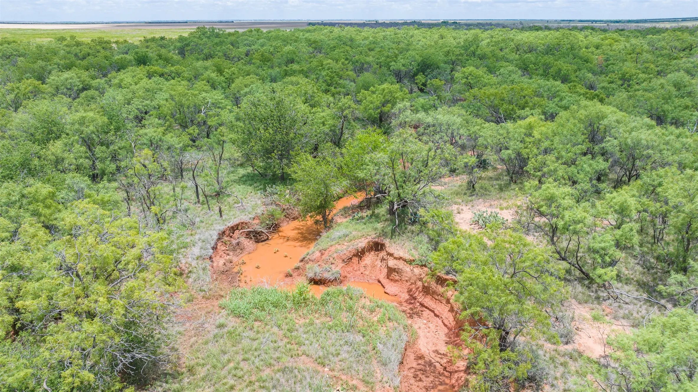 Expansive natural landscape featuring dense green foliage, a prominent ravine with red earthen banks, and varied terrain