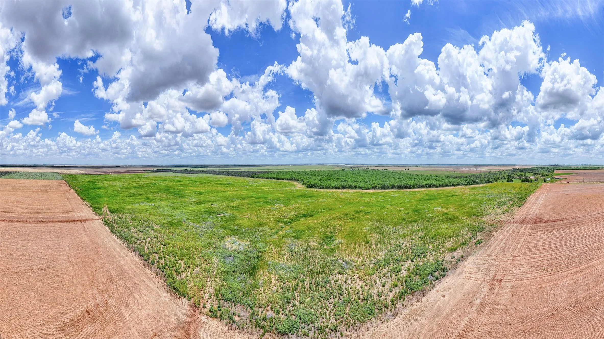Unimproved Land For Sale in Jones County , TBD CR 260, Anson, Texas 79501, 0, 0, Garage spaces, 0 Sqft, built in 0, mls#21298457, Real Estate Agent in Anson, Homes For Sale in Jones county, Homes For Sale in Anson, Realtor in Anson Texas, Real Estate Brokerage Independent Realty Texas, Luminita Cordes Realtor