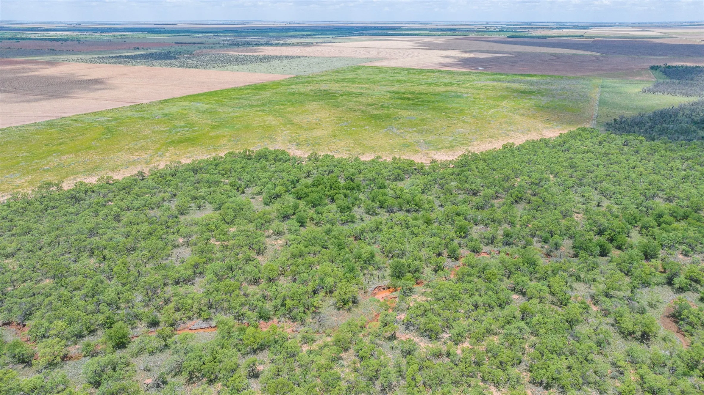 Expansive land parcel featuring dense tree coverage, open grassy areas, and distant cultivated fields