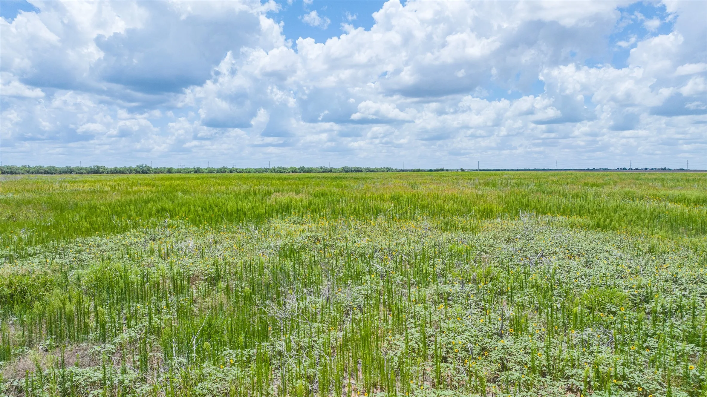 Expansive open landscape featuring green vegetation under a blue sky with clouds