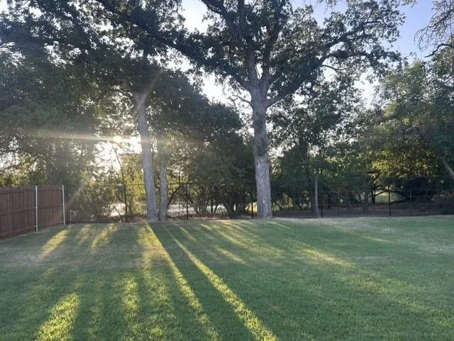 Enjoy your cup of coffee with the morning sunrise seeping through the trees.