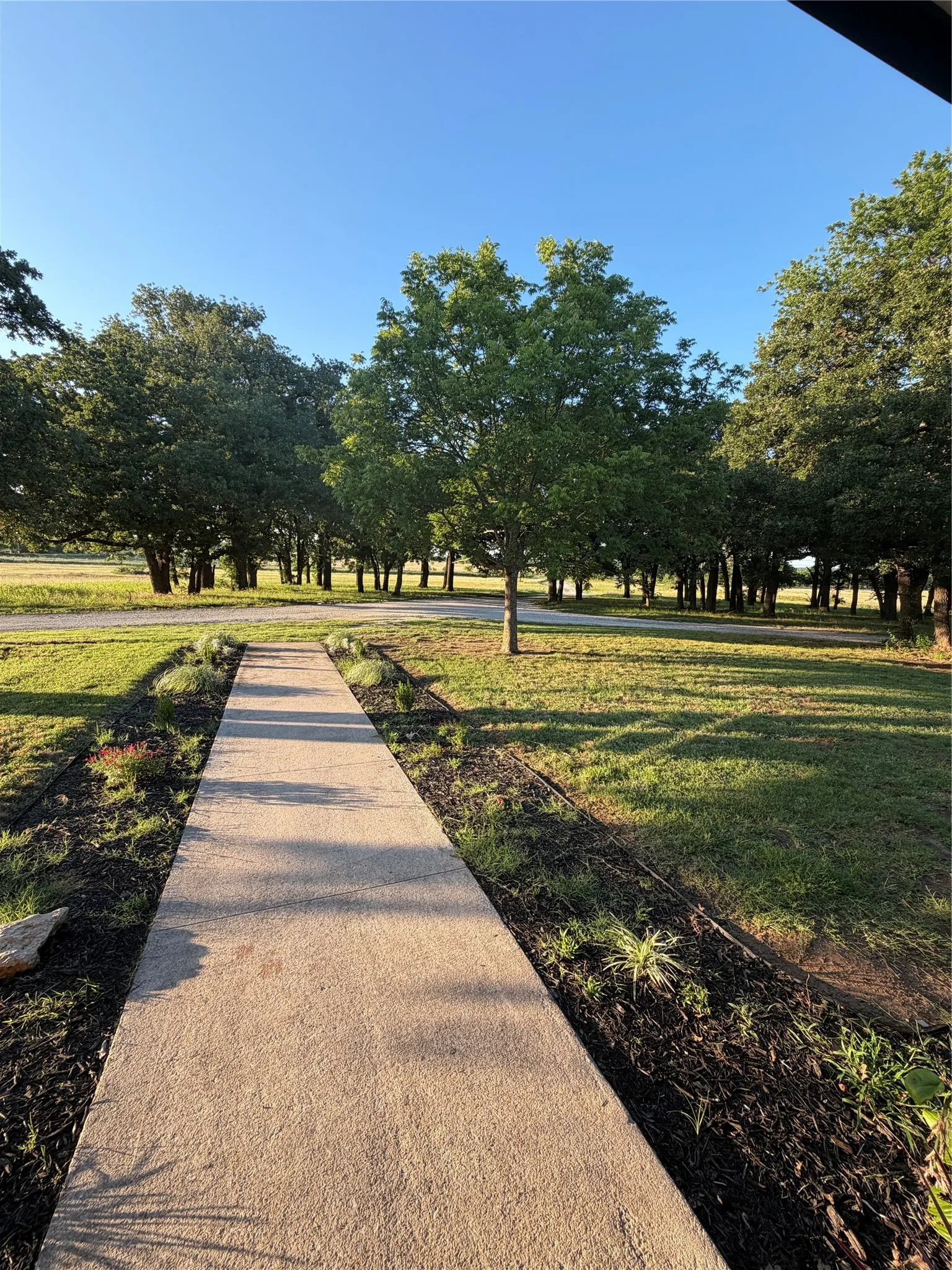 View of property from the front porch