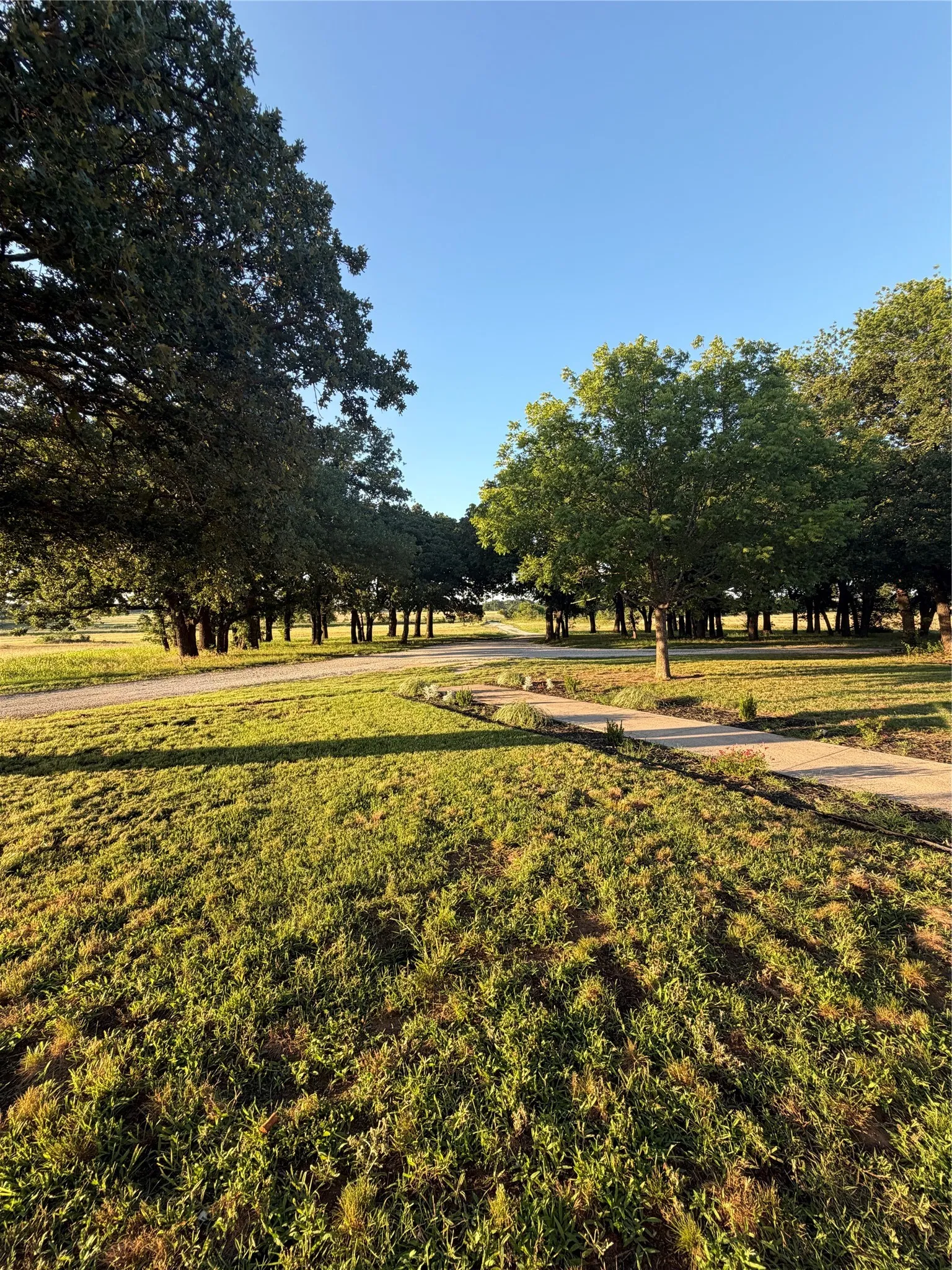 Single Family Residence For Sale in Cooke County , 1306 Mcdaniel Street, Callisburg, Texas 76240, 4 Bedroom, 2 Bathroom, Garage spaces, 2,060 Sqft, built in 1980, Price $550,000, mls#21297945, Real Estate Agent in Callisburg, Homes For Sale in Cooke county, Homes For Sale in Callisburg, Realtor in Callisburg Texas, Real Estate Brokerage Independent Realty Texas, Luminita Cordes Realtor