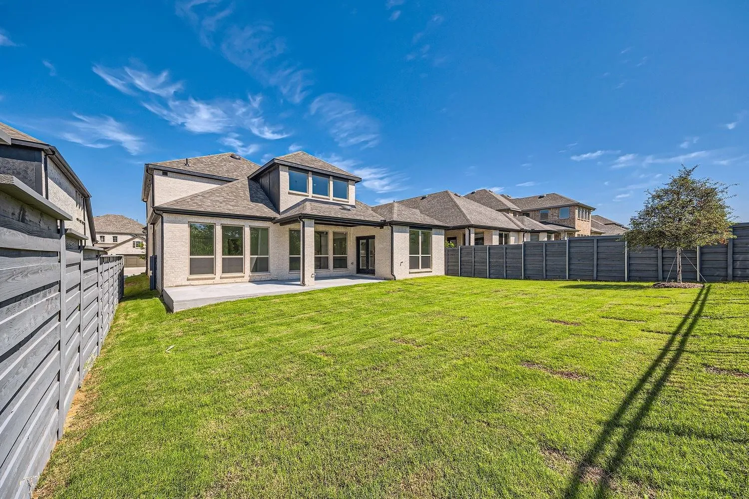 Spacious backyard featuring a manicured lawn, a concrete patio, and a newly planted tree