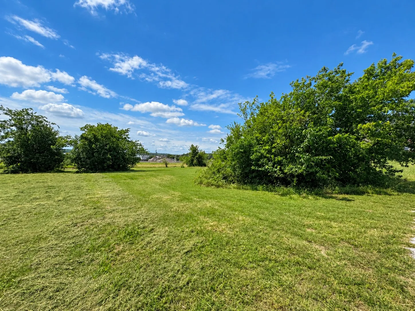 Unimproved Land For Sale in Wise County , 225 Half Moon Way, Runaway Bay, Texas 76426, 0, 0, Garage spaces, 0 Sqft, built in 0, mls#21302967, Real Estate Agent in Runaway Bay, Homes For Sale in Wise county, Homes For Sale in Runaway Bay, Realtor in Runaway Bay Texas, Real Estate Brokerage Independent Realty Texas, Luminita Cordes Realtor