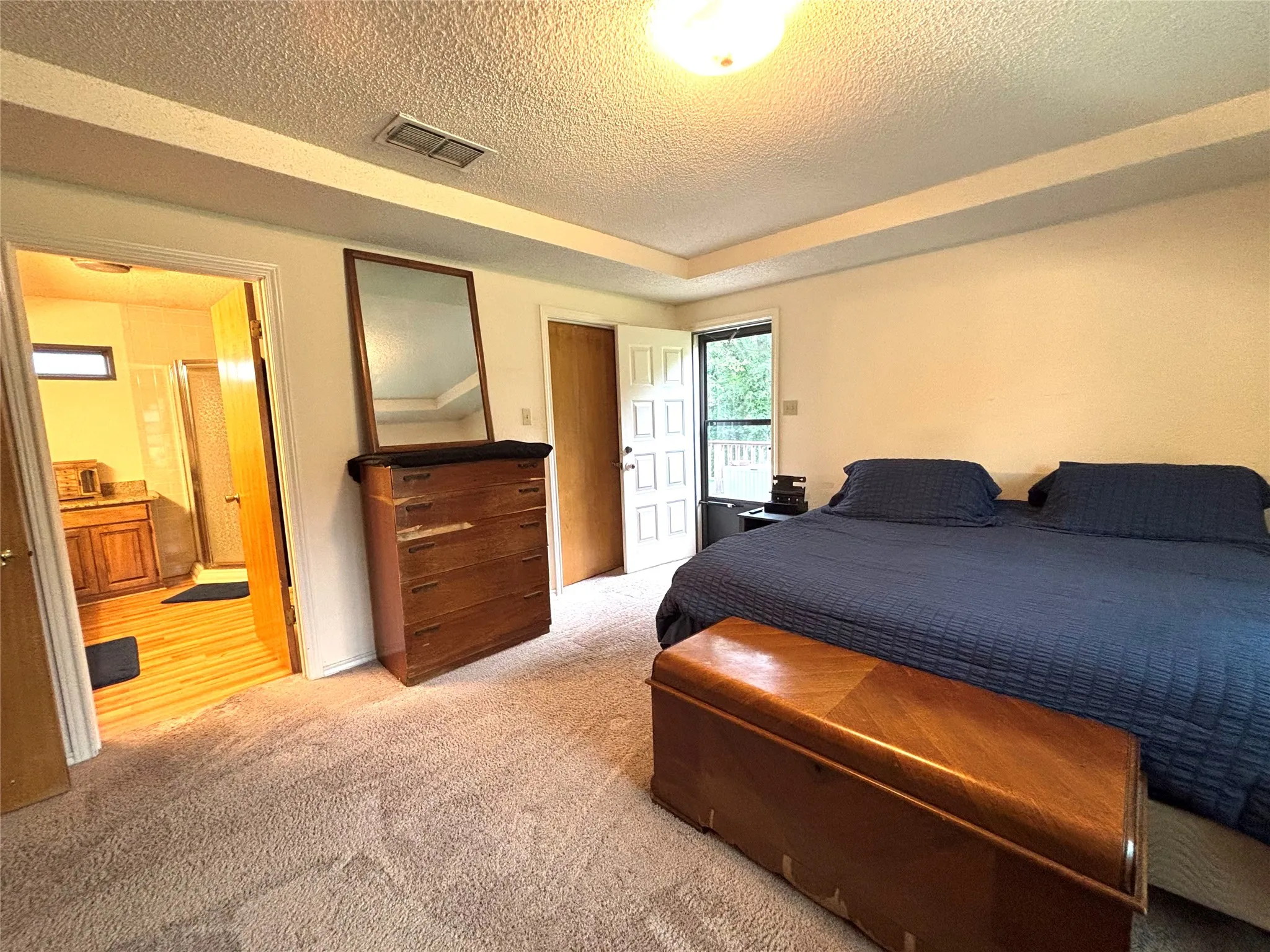 Primary bedroom featuring a tray ceiling, an exterior door, and an interior doorway leading to a bathroom with wood-finish floor