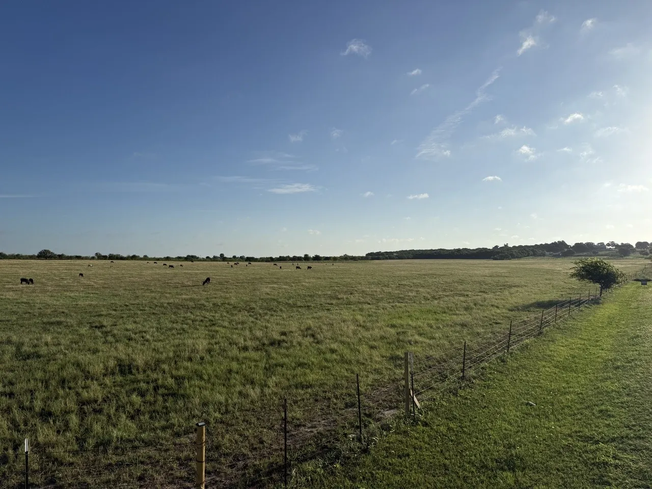 Unimproved Land For Sale in Johnson County , 2325 County Road 1104, Cleburne, Texas 76031, 0, 0, Garage spaces, 0 Sqft, built in 0, Price $222,000, mls#21302977, Real Estate Agent in Cleburne, Homes For Sale in Johnson county, Homes For Sale in Cleburne, Realtor in Cleburne Texas, Real Estate Brokerage Independent Realty Texas, Luminita Cordes Realtor