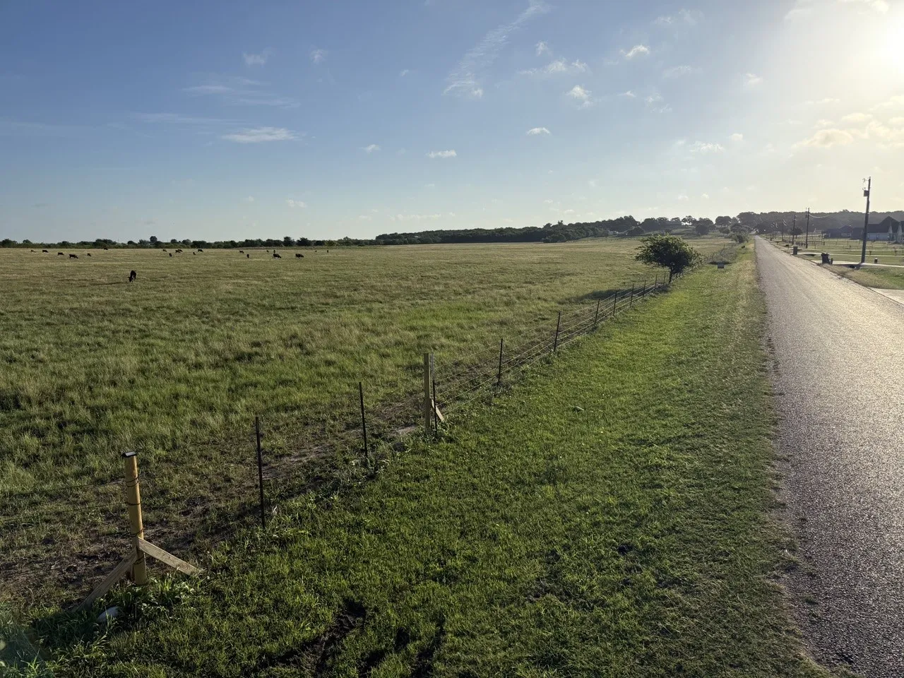 Unimproved Land For Sale in Johnson County , 2175 County Road 1104, Cleburne, Texas 76031, 0, 0, Garage spaces, 0 Sqft, built in 0, Price $200,000, mls#21302984, Real Estate Agent in Cleburne, Homes For Sale in Johnson county, Homes For Sale in Cleburne, Realtor in Cleburne Texas, Real Estate Brokerage Independent Realty Texas, Luminita Cordes Realtor