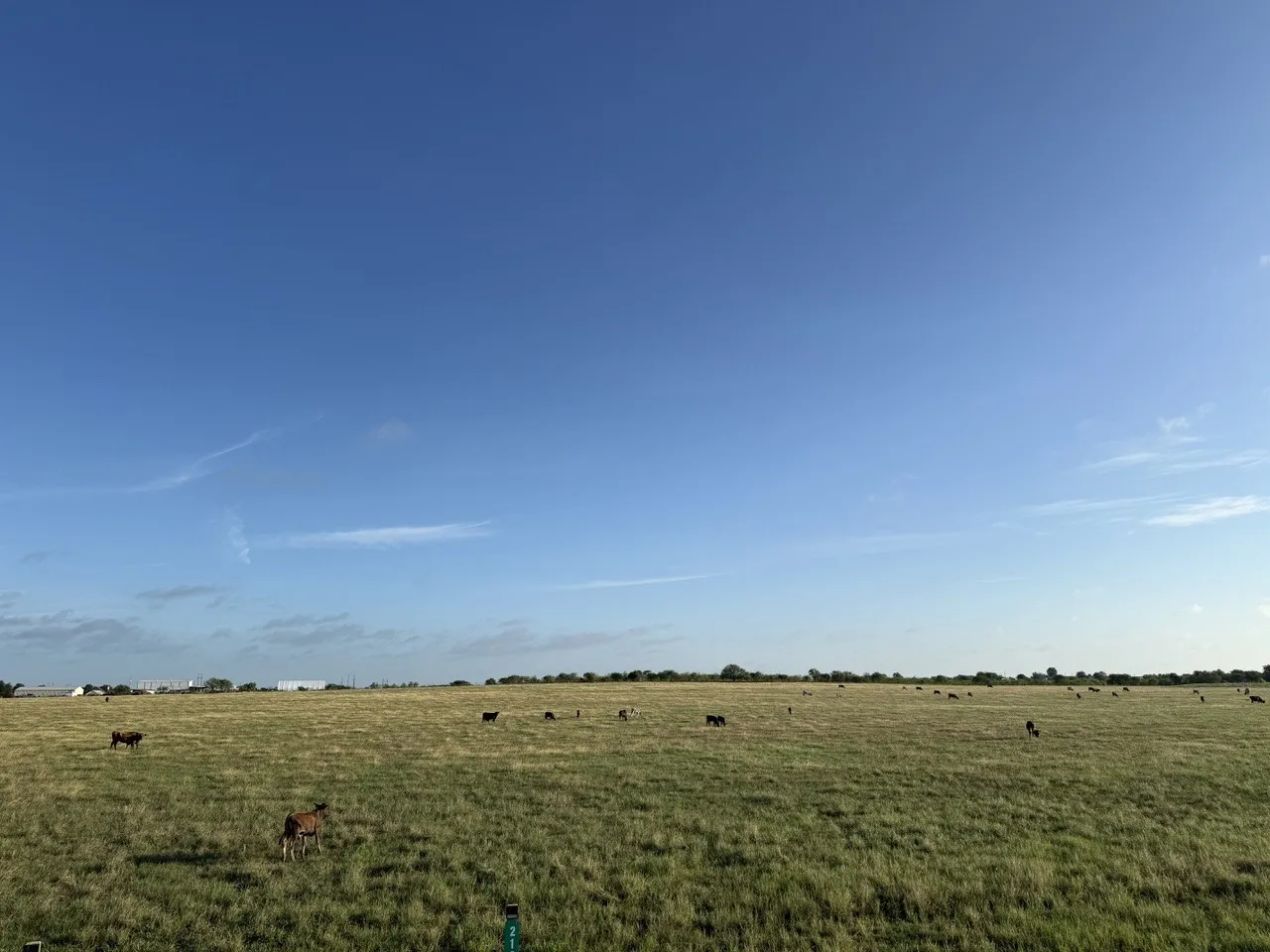 Unimproved Land For Sale in Johnson County , 2175 County Road 1104, Cleburne, Texas 76031, 0, 0, Garage spaces, 0 Sqft, built in 0, Price $200,000, mls#21302984, Real Estate Agent in Cleburne, Homes For Sale in Johnson county, Homes For Sale in Cleburne, Realtor in Cleburne Texas, Real Estate Brokerage Independent Realty Texas, Luminita Cordes Realtor