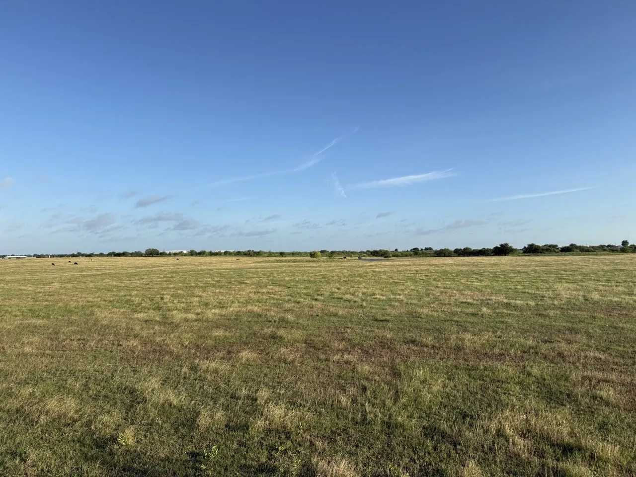 Unimproved Land For Sale in Johnson County , 2175 County Road 1104, Cleburne, Texas 76031, 0, 0, Garage spaces, 0 Sqft, built in 0, Price $200,000, mls#21302984, Real Estate Agent in Cleburne, Homes For Sale in Johnson county, Homes For Sale in Cleburne, Realtor in Cleburne Texas, Real Estate Brokerage Independent Realty Texas, Luminita Cordes Realtor