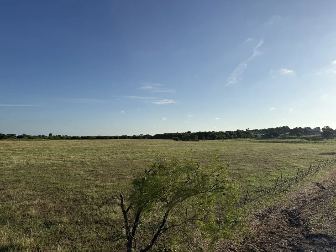 Unimproved Land For Sale in Johnson County , 2175 County Road 1104, Cleburne, Texas 76031, 0, 0, Garage spaces, 0 Sqft, built in 0, Price $200,000, mls#21302984, Real Estate Agent in Cleburne, Homes For Sale in Johnson county, Homes For Sale in Cleburne, Realtor in Cleburne Texas, Real Estate Brokerage Independent Realty Texas, Luminita Cordes Realtor
