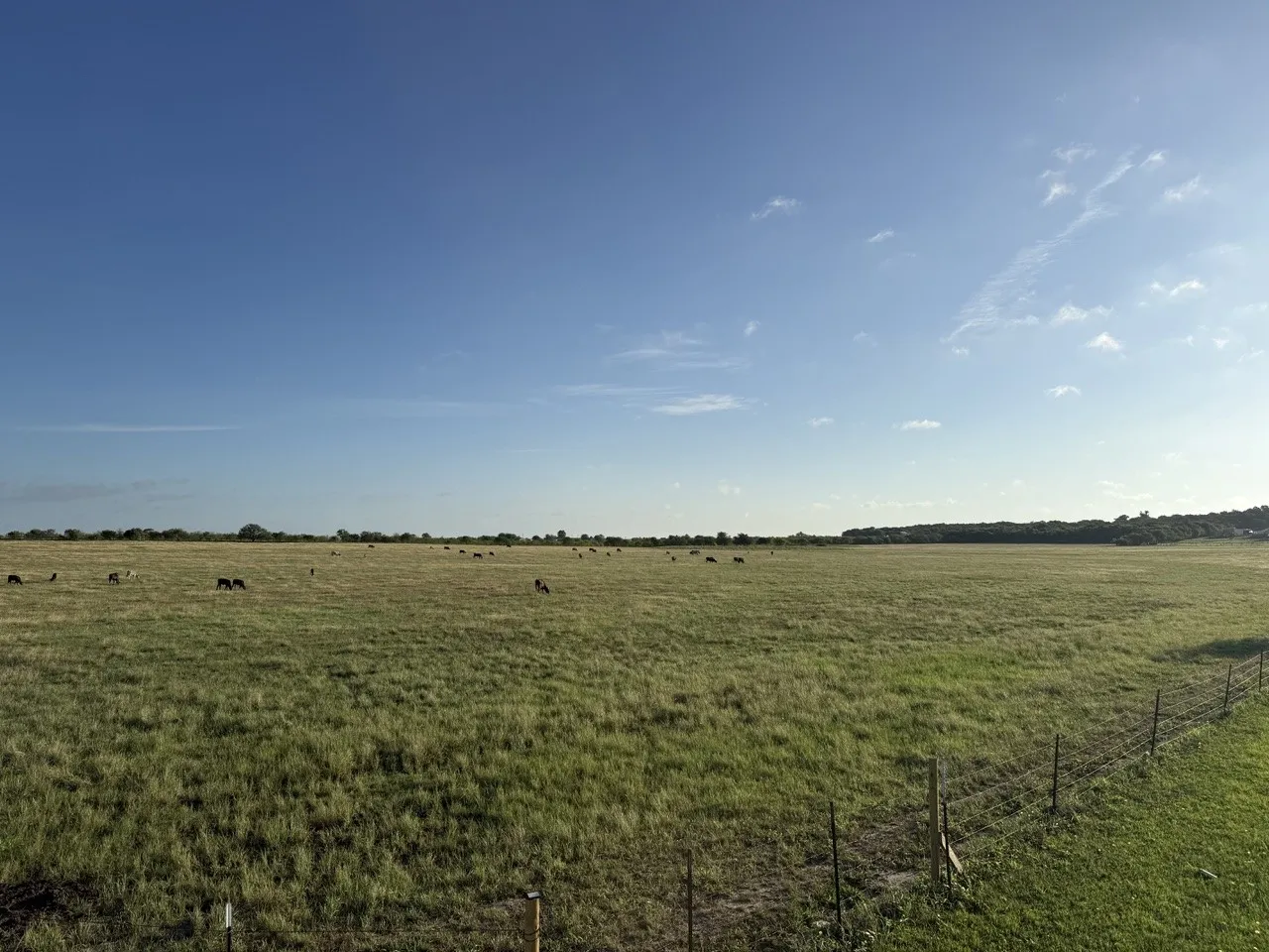 Unimproved Land For Sale in Johnson County , 2365 County Road 1104, Cleburne, Texas 76031, 0, 0, Garage spaces, 0 Sqft, built in 0, Price $429,000, mls#21302966, Real Estate Agent in Cleburne, Homes For Sale in Johnson county, Homes For Sale in Cleburne, Realtor in Cleburne Texas, Real Estate Brokerage Independent Realty Texas, Luminita Cordes Realtor