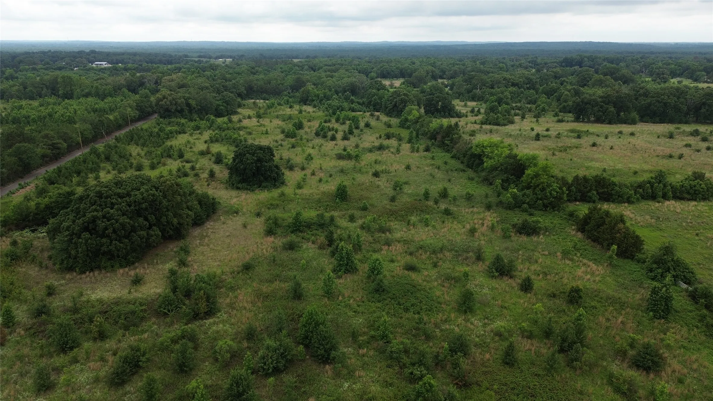 Unimproved Land For Sale in Wood County , TBD CR 2805, Mineola, Texas 75773, 0, 0, Garage spaces, 0 Sqft, built in 0, Price $399,000, mls#21302561, Real Estate Agent in Mineola, Homes For Sale in Wood county, Homes For Sale in Mineola, Realtor in Mineola Texas, Real Estate Brokerage Independent Realty Texas, Luminita Cordes Realtor