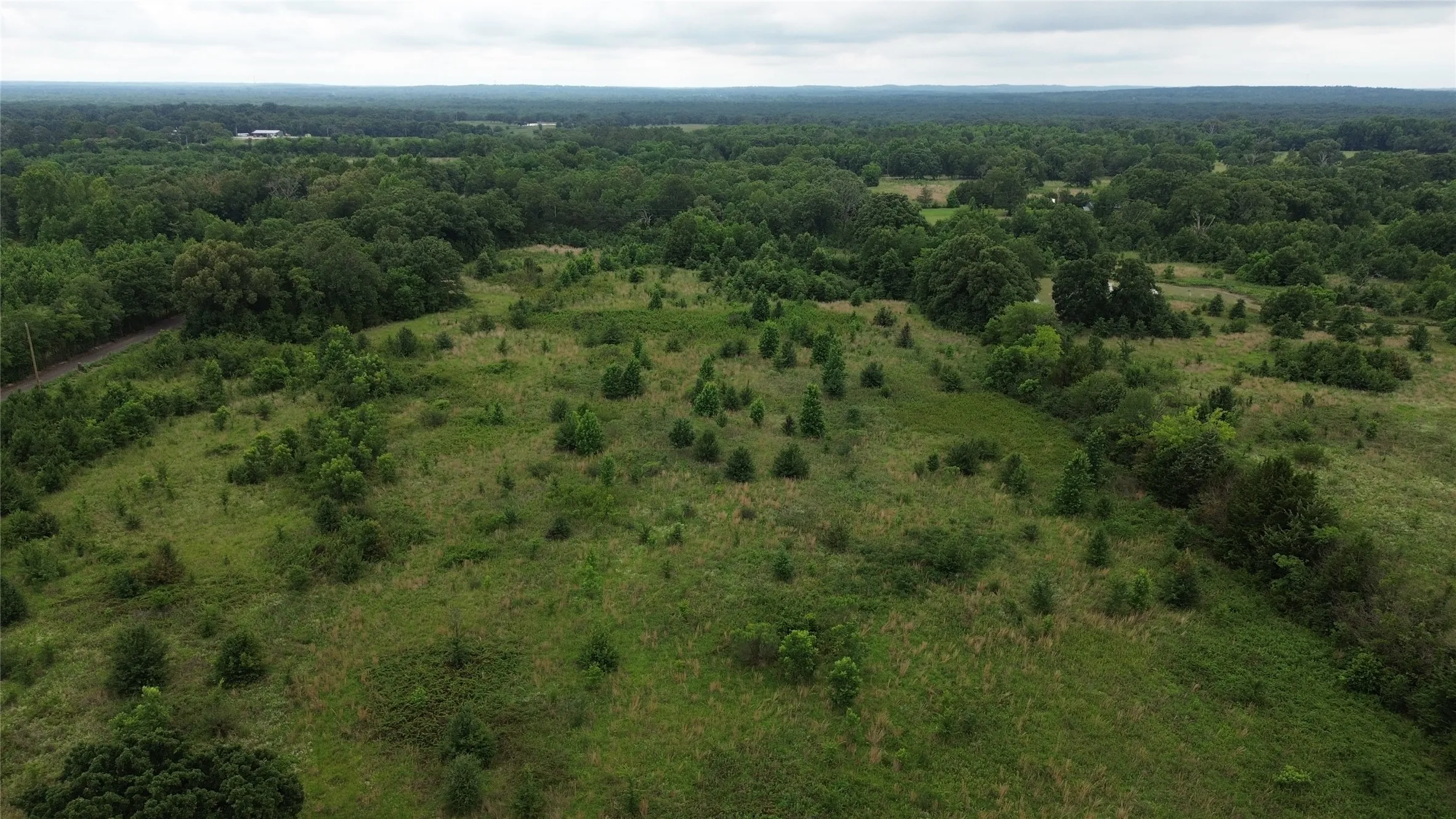 Unimproved Land For Sale in Wood County , TBD CR 2805, Mineola, Texas 75773, 0, 0, Garage spaces, 0 Sqft, built in 0, Price $399,000, mls#21302561, Real Estate Agent in Mineola, Homes For Sale in Wood county, Homes For Sale in Mineola, Realtor in Mineola Texas, Real Estate Brokerage Independent Realty Texas, Luminita Cordes Realtor