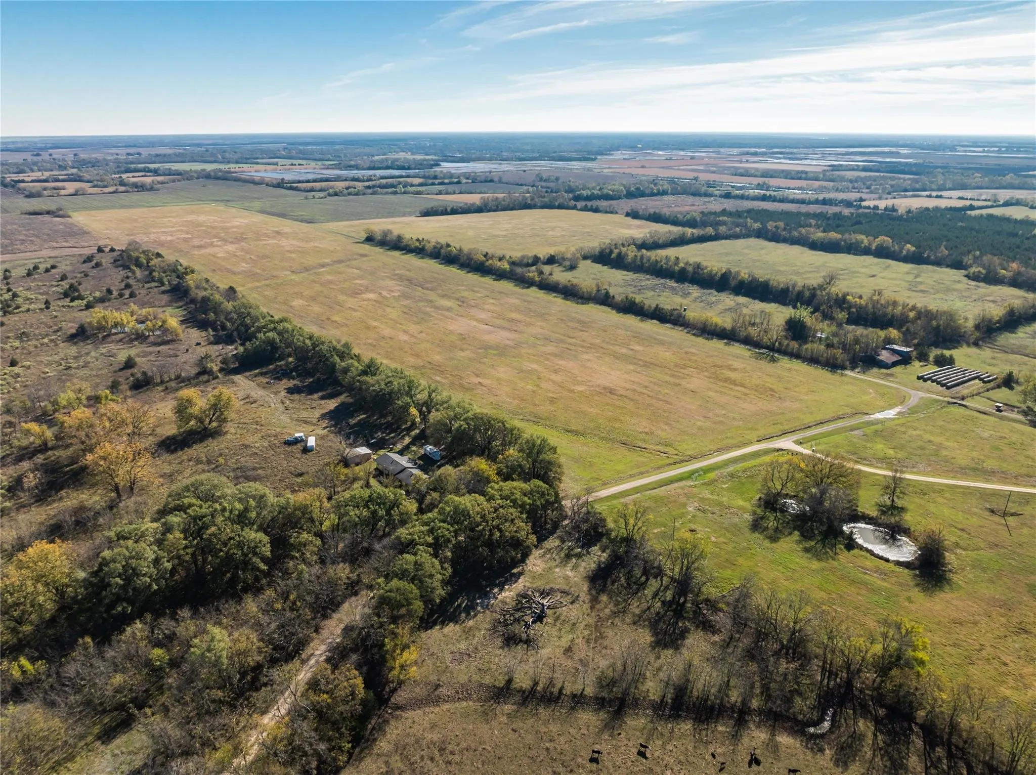 Unimproved Land For Sale in Lamar County , 00 County Road 16110, Pattonville, Texas 75468, 0, 0, Garage spaces, 0 Sqft, built in 0, Price $167,500, mls#21303036, Real Estate Agent in Pattonville, Homes For Sale in Lamar county, Homes For Sale in Pattonville, Realtor in Pattonville Texas, Real Estate Brokerage Independent Realty Texas, Luminita Cordes Realtor